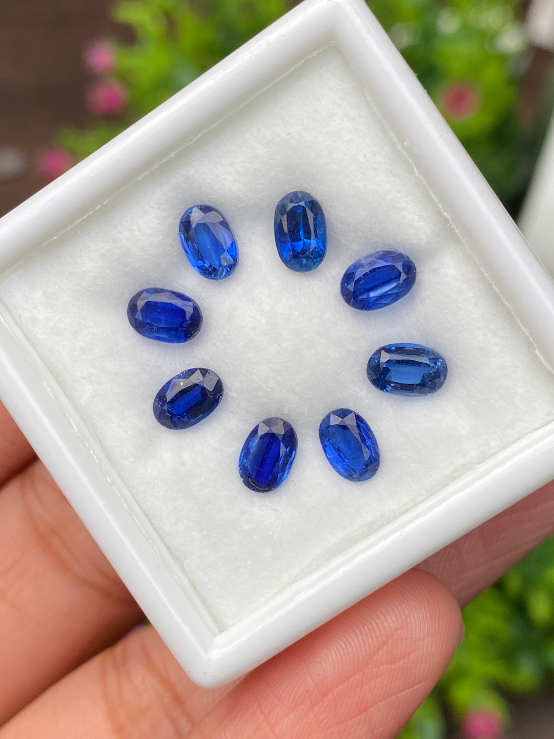 พลอย ไคยาไนต์ Kyanite 5.30 กะรัต (Cts.) 8 เม็ด พลอยแท้ อัญมณีมงคลประจําวันเกิด เครื่องประดับพลอย