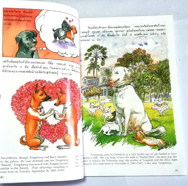 หนังสือเก่า ****มีตำหนิ หน้าสุดท้ายติดปกหลัง พระราชนิพนธ์ พระบาทสมเด็จพระเจ้าอยู่หัวภูมิพลอดุลยเดช His Majesty King Bhumibol Adulyadej Biography of a Pet Dog เรื่อง ทองแดง ฉบับการ์ตูน พิมพ์ซ้ำครั้งที่ 2 พฤศจิกายน 2547 ผู้เขียนการ์ตูนประกอบพระราชนิพนธ์ : ช