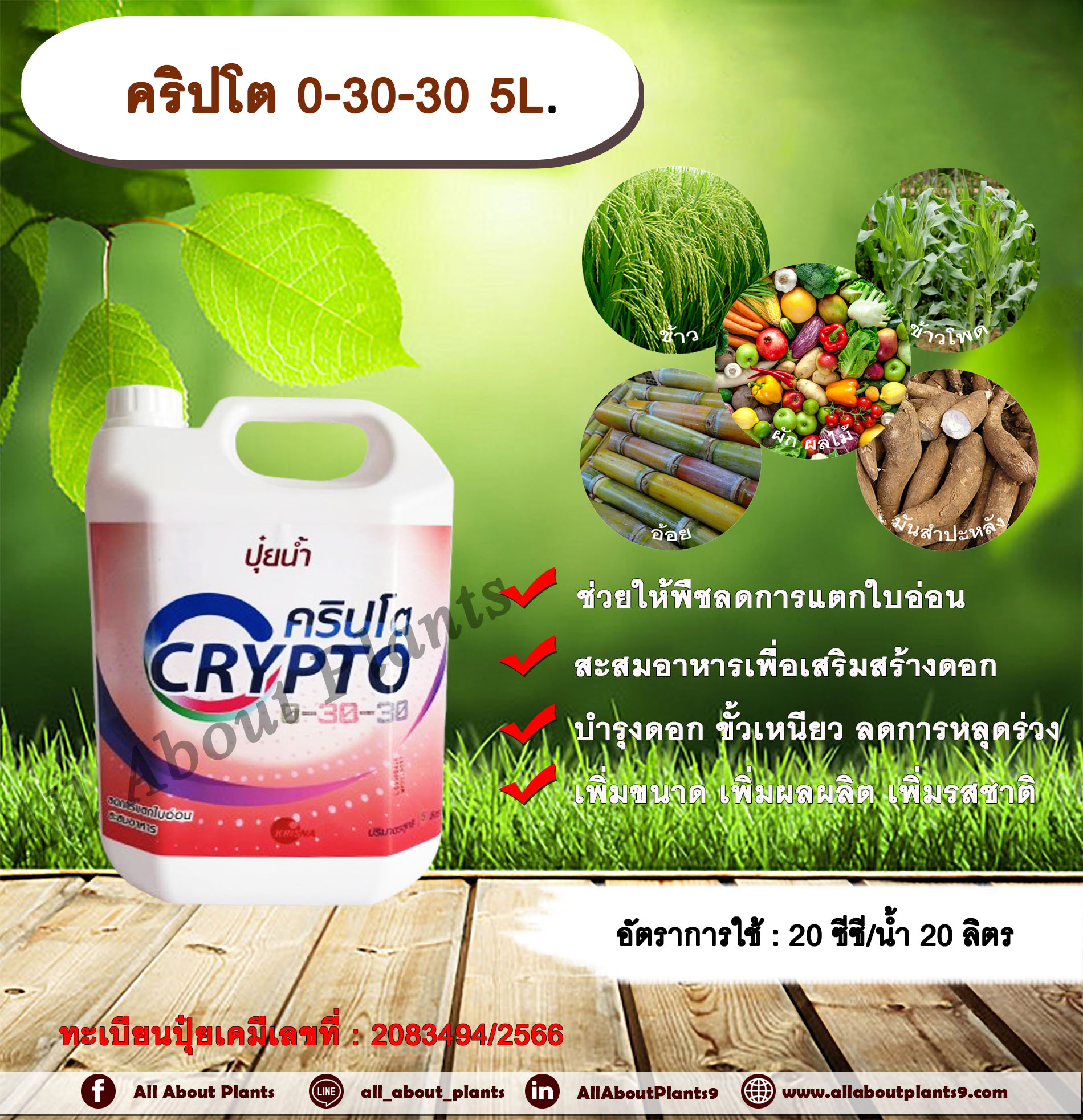 คริปโต 0-30-30 5L. ช่วยให้พืชลดการแตกใบอ่อน เสริมสร้างดอก ผสมเกสร บำรุงดอก ขั้วเหนียว ลดการหลุดร่วงเพิ่มขนาด เพิ่มผลผลิต กระติก