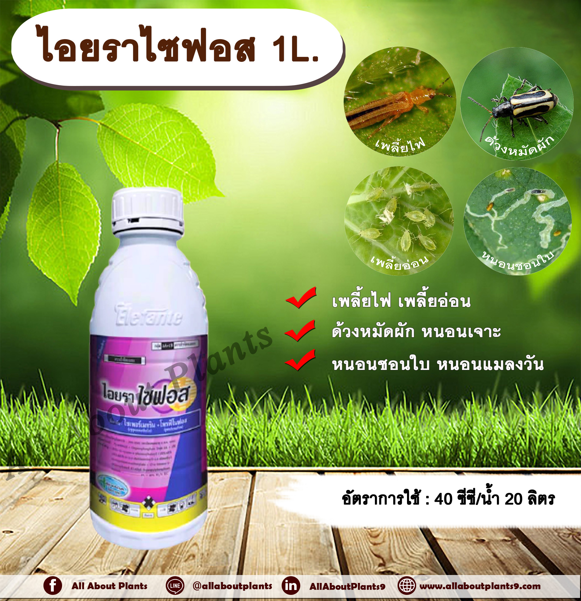 ไอยราไซฟอส 1L. ไซเพอร์เมทริน + โพรฟีโนฟอส สารกำจัดแมลง สารกำจัดหนอน เพลี้ยไฟ เพลี้ยอ่อน ด้วงหมัดผัก หนอนชอนใบ หนอนเจาะ หนอนแมลงวัน ชิ้น