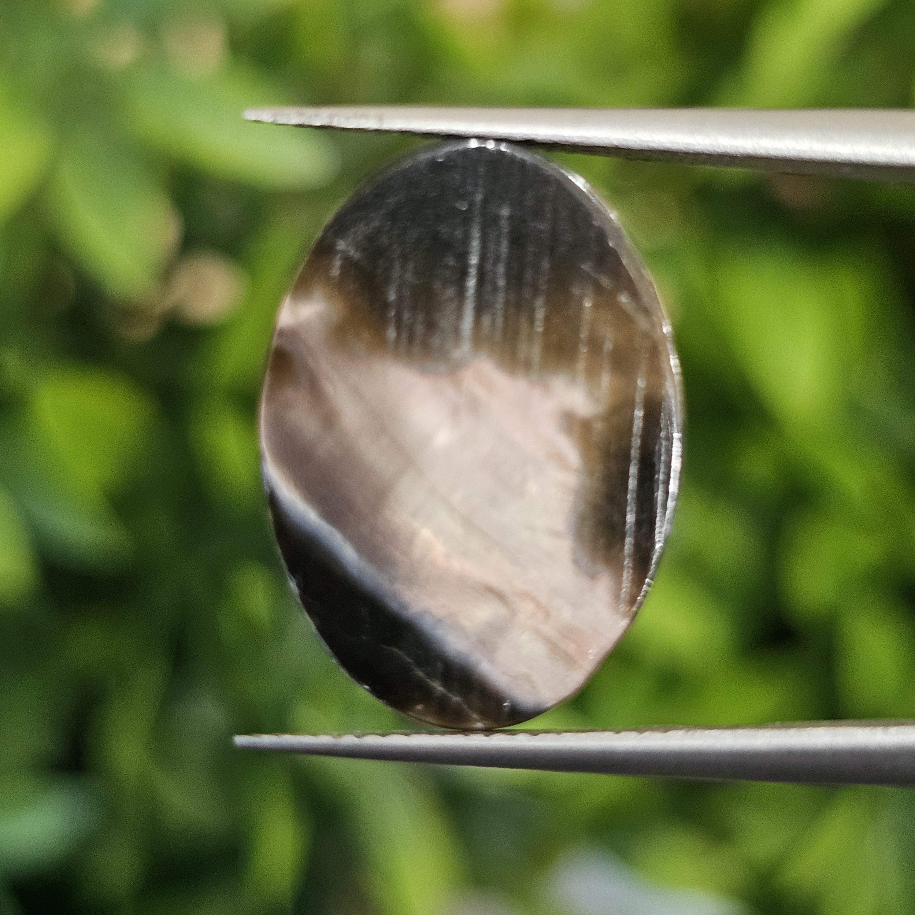 เปลือกหอยมุก แกะสลัก Pearl Shell Carved 3.34 กะรัต (Cts.)