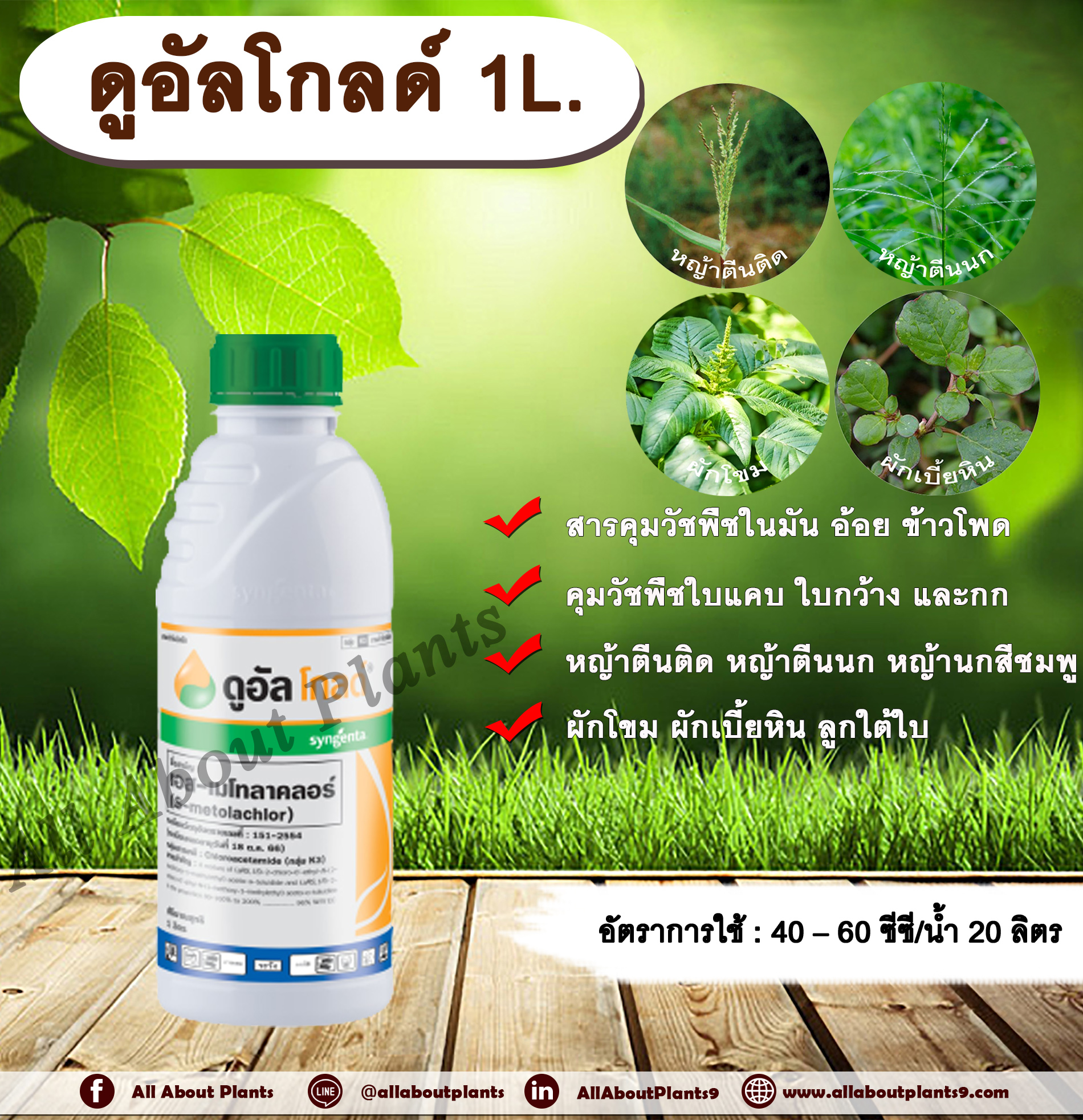 ดูอัลโกดล์ 1L. เอส-เมโทลาคลอร์ คุมหญ้า ใบแคบ ใบกว้างและกก ในมัน อ้อย ข้าวโพด สารคุมวัชพืช สารคุมหญ้า ขวด