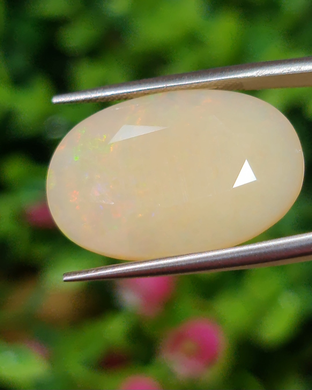 พลอย ไวท์ โอปอล White Opal 12.80 กะรัต (Cts.) พลอยแท้ อัญมณีมงคลประจําวันเกิด เครื่องประดับพลอย