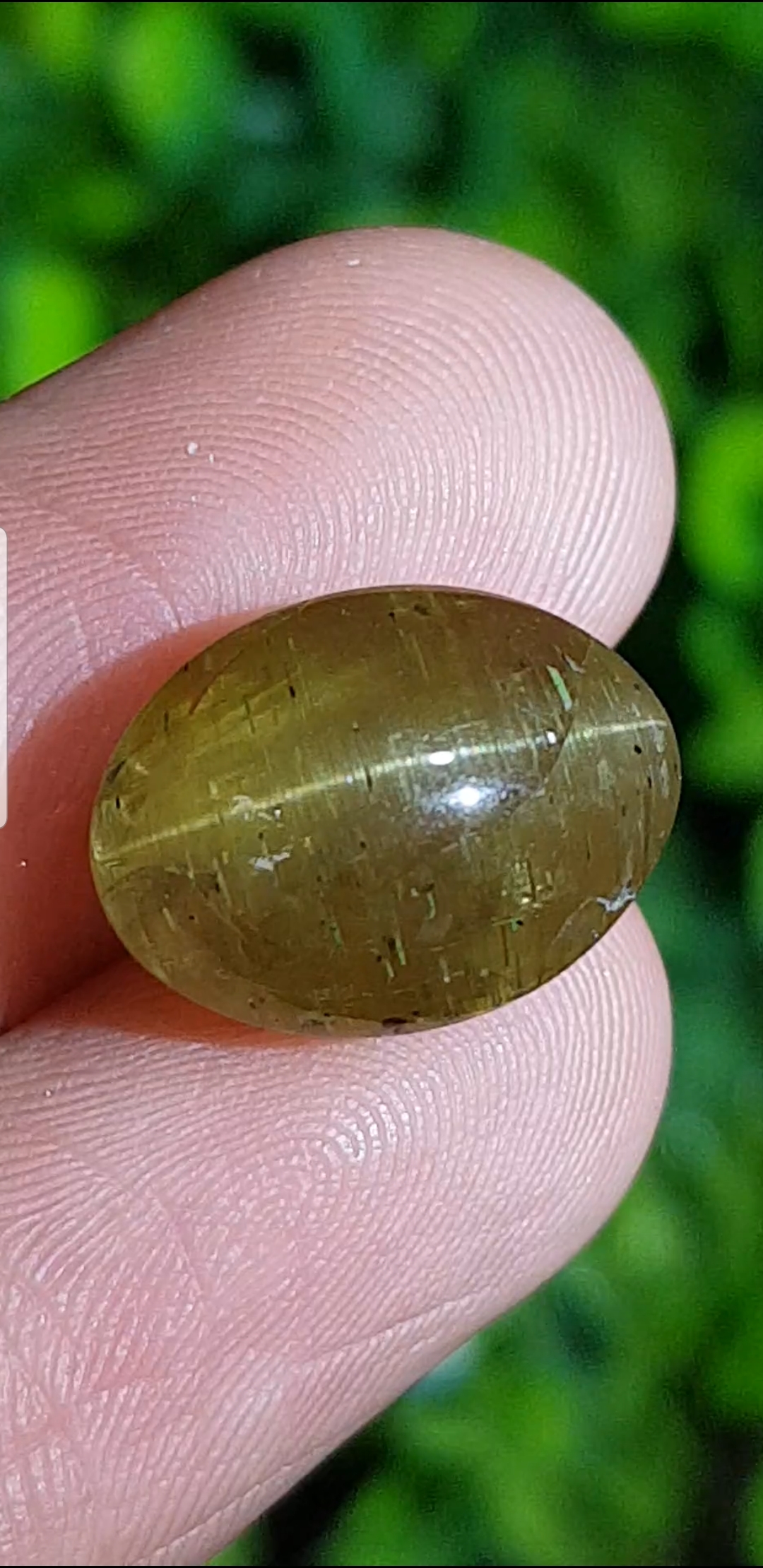 พลอย ตาแมว อะพาไทต์ Cat eye Apatite 11.68 กะรัต (Cts.)