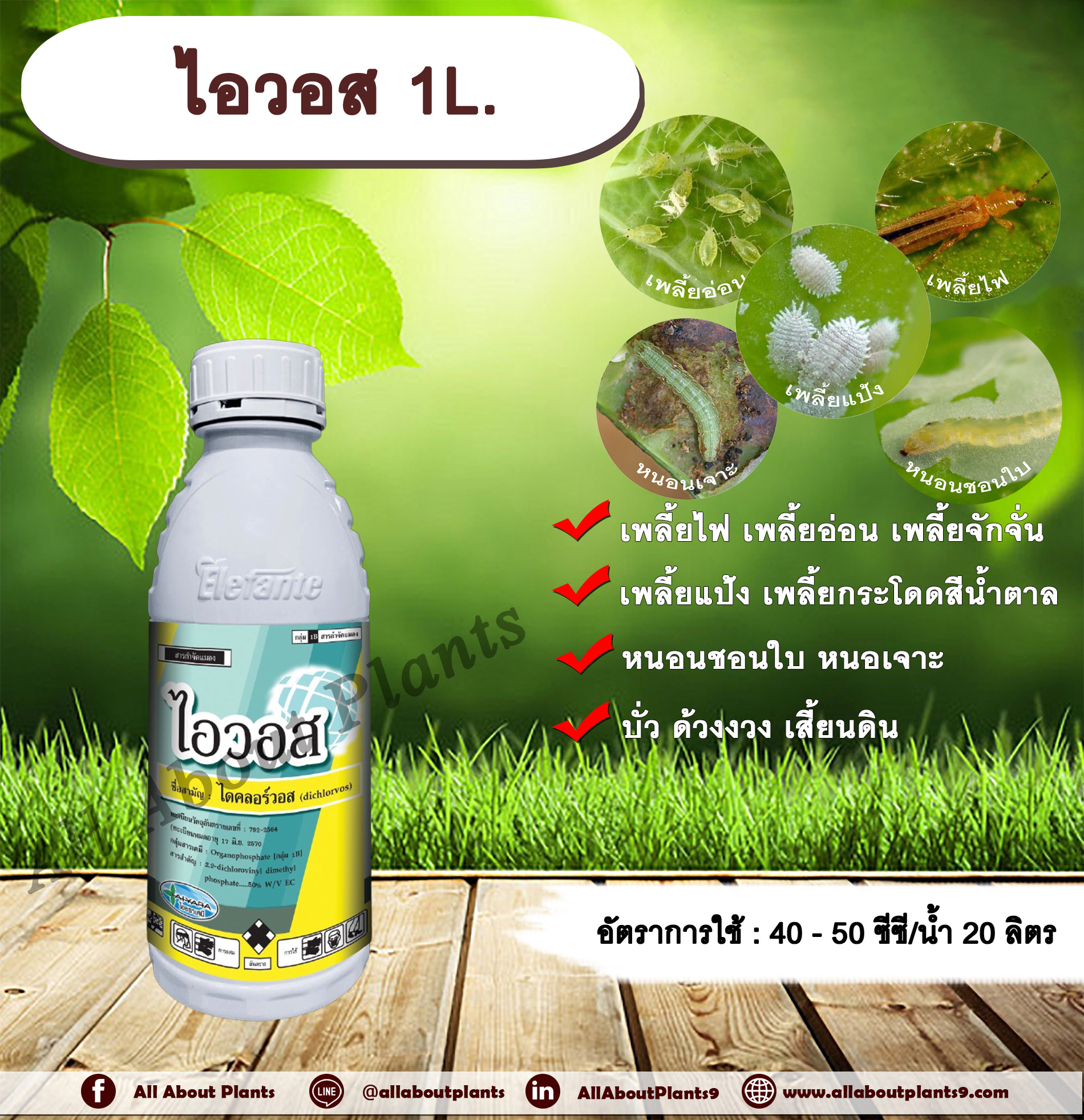 ไอวอส 1L. ไดคลอร์วอส สารกำจัดแมลง สารกำจัดหนอน สารกำจัดเพลี้ย เพลี้ยไฟ เพลี้ยอ่อน เพลี้ยแป้ง เพลี้ยจักจั่น เพลี้ยกระโดดสีน้ำตาล หนอนชอนใบ หนอเจาะ หนอนต่างๆ บั่ว ด้วงงวง เสี้ยนดิน ชิ้น