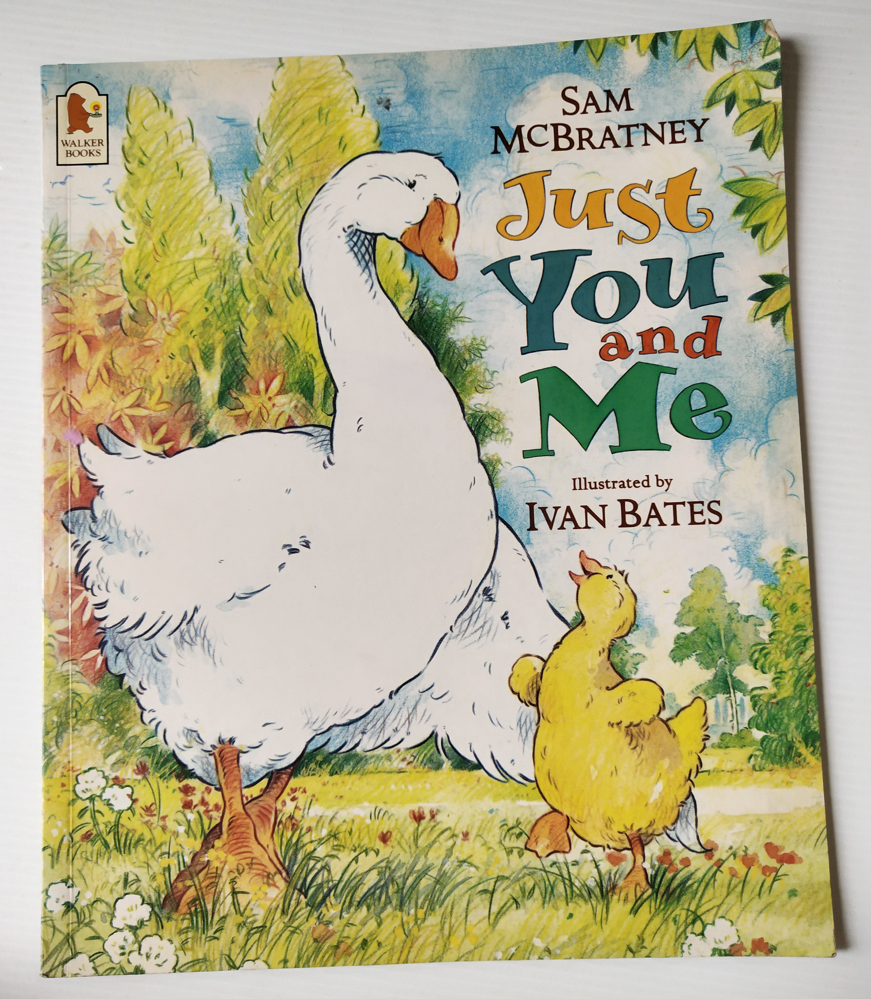 หนังสือนิทานฉบับภาษาอังกฤษ เรื่องราวของครอบครัวห่าน และห่านน้อย จาก SAM MCBRATNEY,"Just You and Me" ภาพโดย Ivan Bates