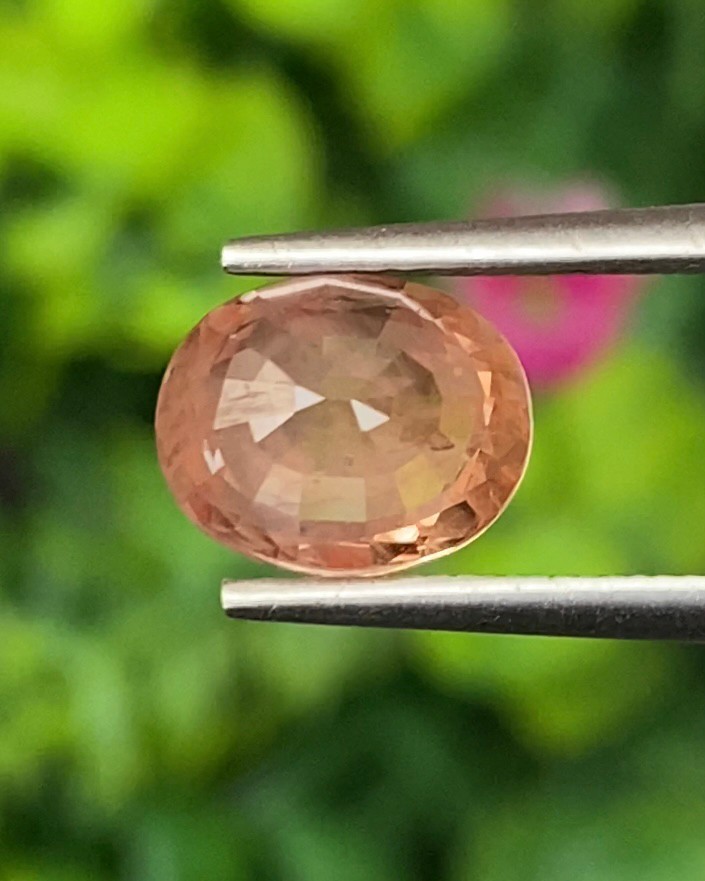 พลอย พัดพารัดชา Padparadscha Sapphire 2.45 กะรัต (Cts.) พร้อมใบเซอร์ พลอยแท้ อัญมณีมงคลประจําวันเกิด เครื่องประดับพลอย