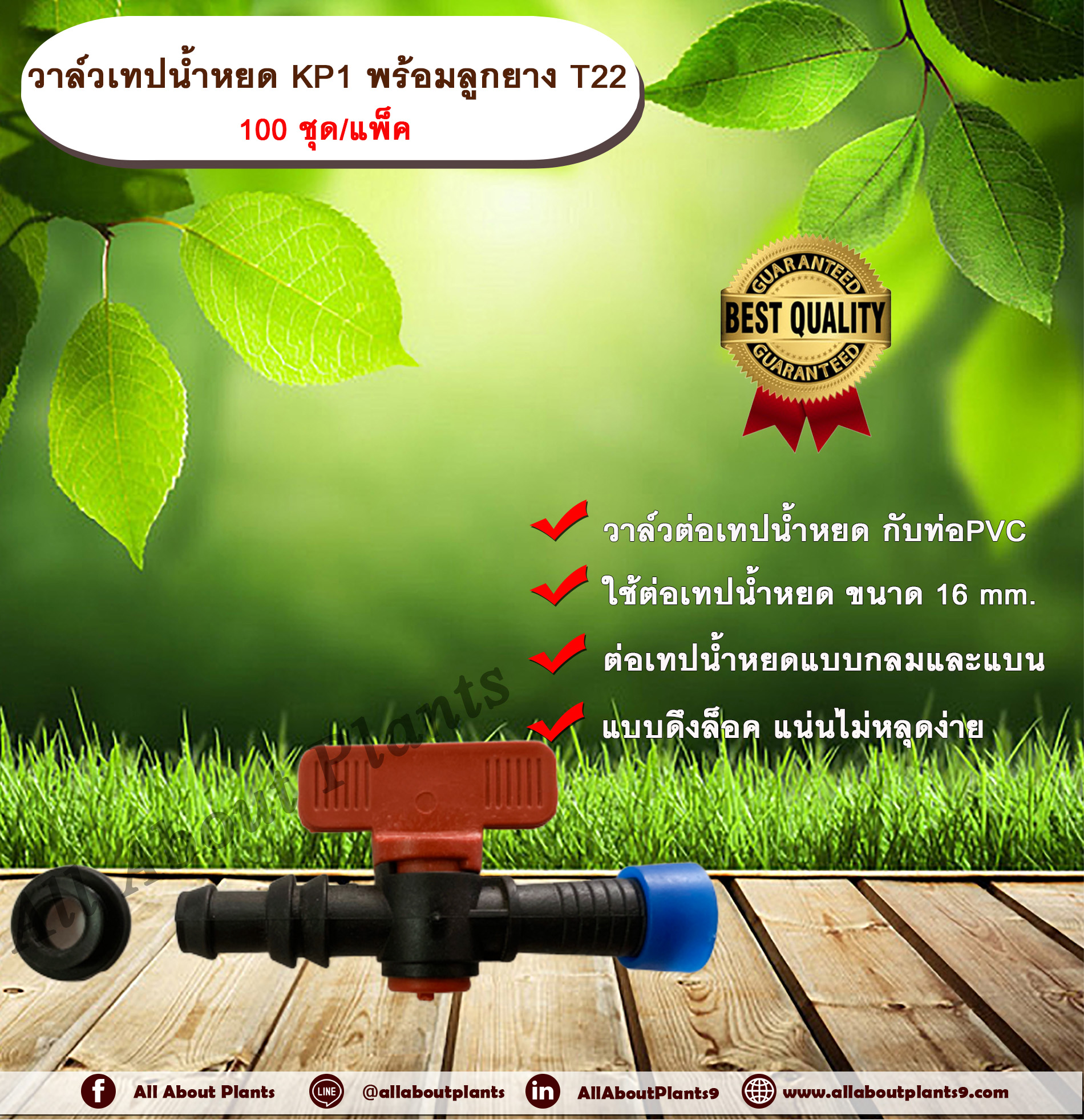 วาล์วเทปน้ำหยด KP1 พร้อมลูกยาง T22 100 ชุด/แพ็ค วาล์วเทปน้ำหยด 16 มิล วาล์วปิดเปิด วาล์วปิดเปิดน้ำ วาล์วน้ำหยด ข้อต่อวาล์ว ข้อต่อเทปน้ำหยด ข้อต่อวาล์วเทปน้ำหยด allaboutplants แพ็ค