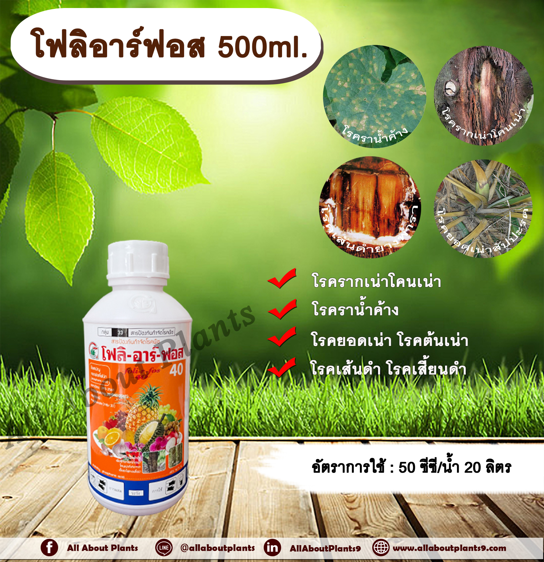 โฟลิอาร์ฟอส 500ml. กรดฟอสโฟนิก สารกำจัดเชื้อรา โรครากเน่าโคนเน่า โรคราน้ำค้าง โรคยอดเน่า โรคต้นเน่า โรคเส้นดำ โรคเสี้ยนดำ โรคพืช allaboutplants ชิ้น