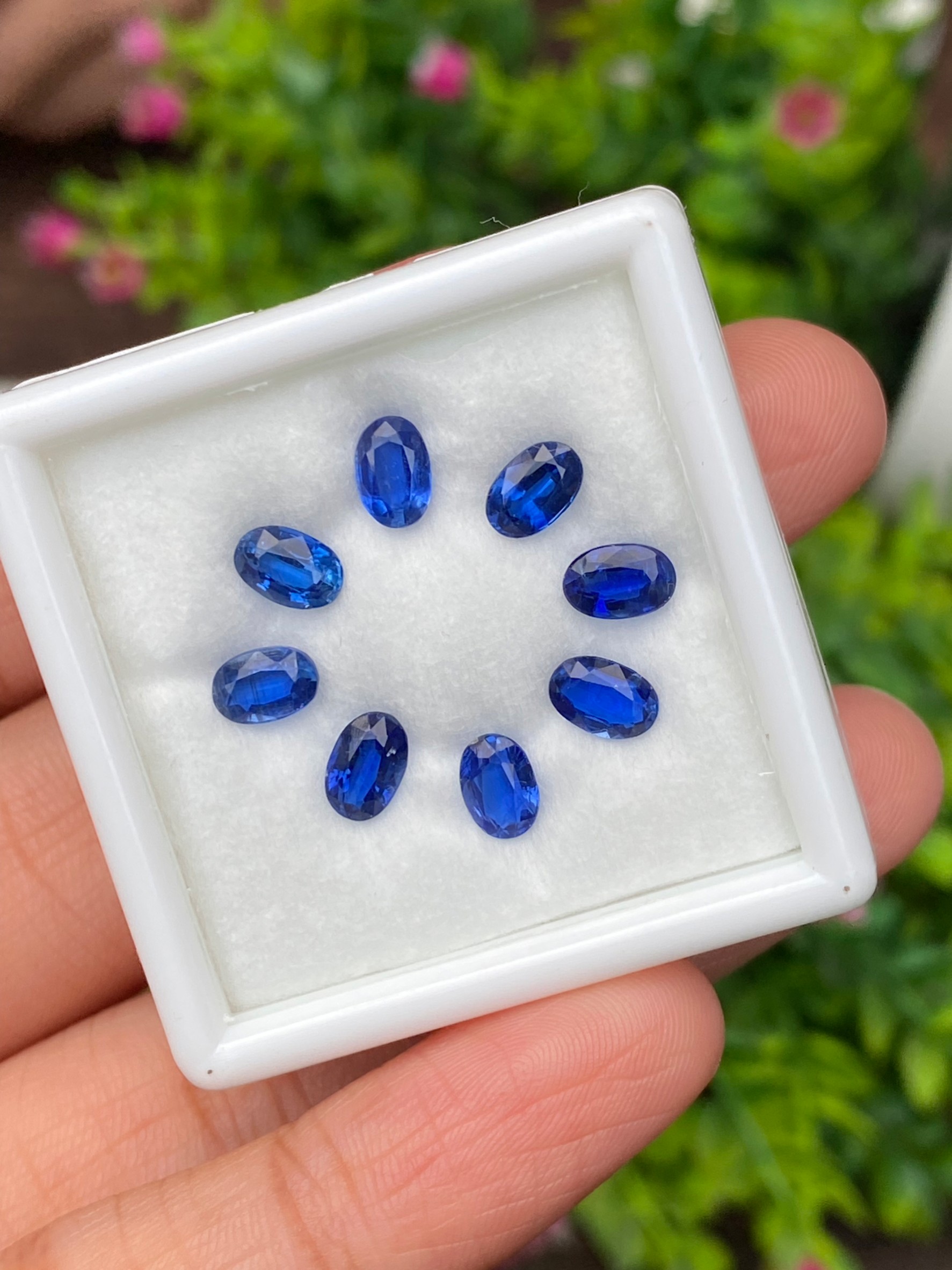 พลอย ไคยาไนต์ Kyanite 4.56 กะรัต (Cts.) 8 เม็ด พลอยแท้ อัญมณีมงคลประจําวันเกิด เครื่องประดับพลอย