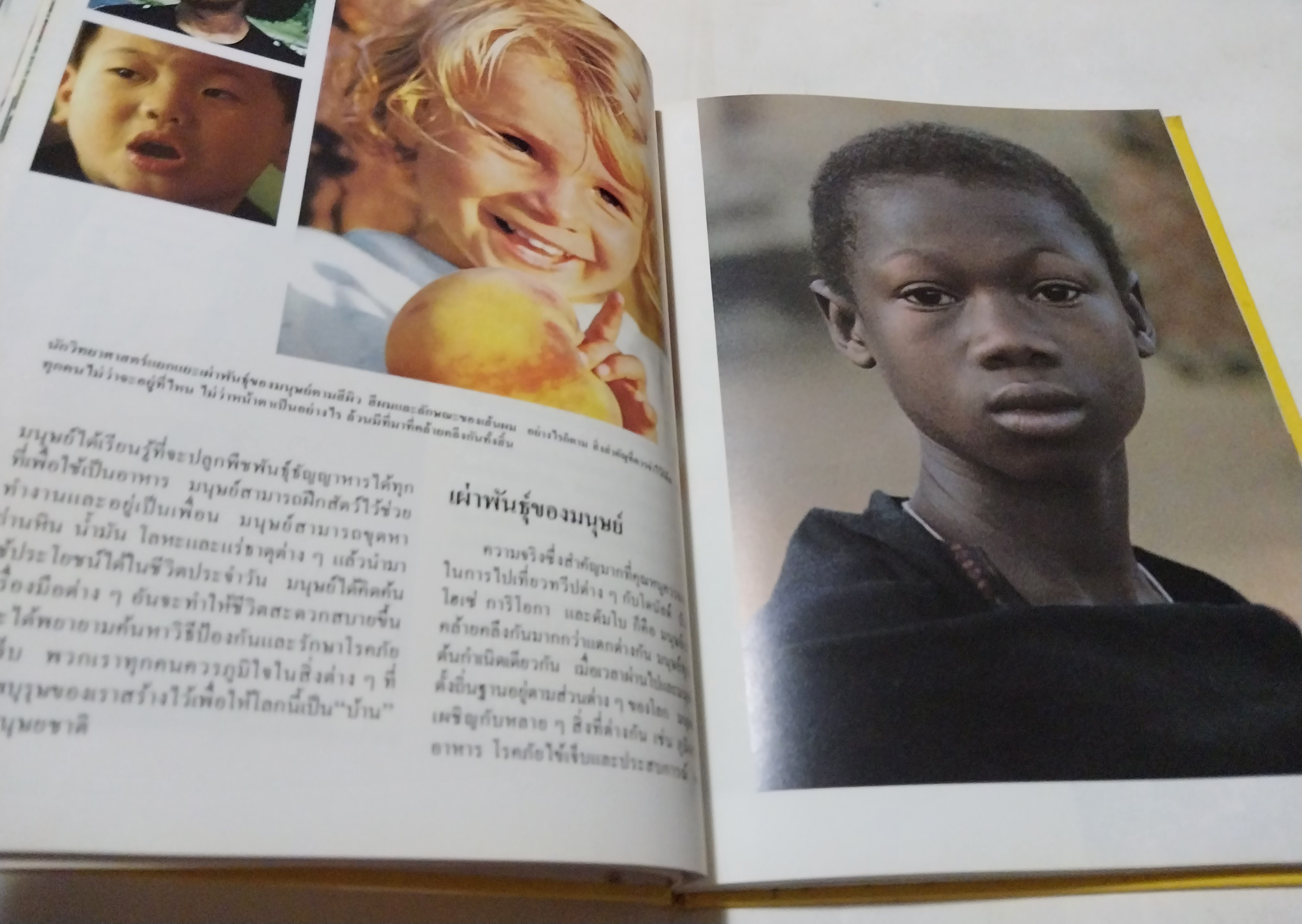 หนังสือดิสนีย์ เล่ม 13 เรื่องทวีป หนังสือปกแข็ง ตัวการ์ตูนดิสนีย์เล่าเรื่อง โลกมหัศจรรย์ ในเล่มนี้คุณหนูๆจะได้ทราบเกี่ยวกับ