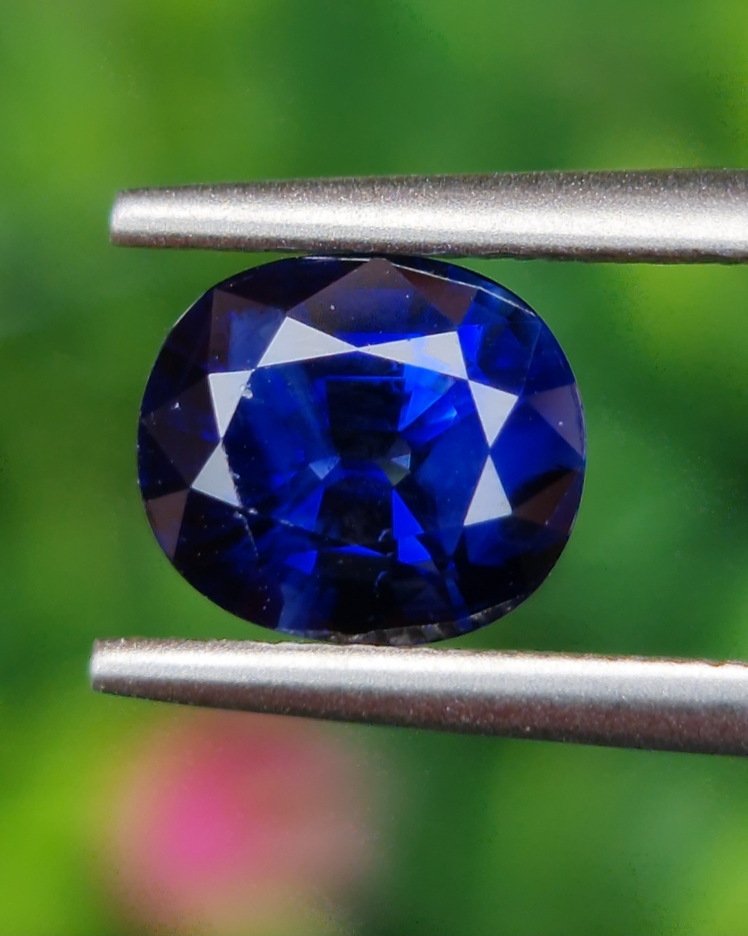 พลอย ไพลิน (Blue Sapphire) 1.64 กะรัต (Cts.) สีพิเศษ รอยัล บลู (Royal Blue) พลอยแท้ อัญมณีมงคลประจําวันเกิด เครื่องประดับพลอย