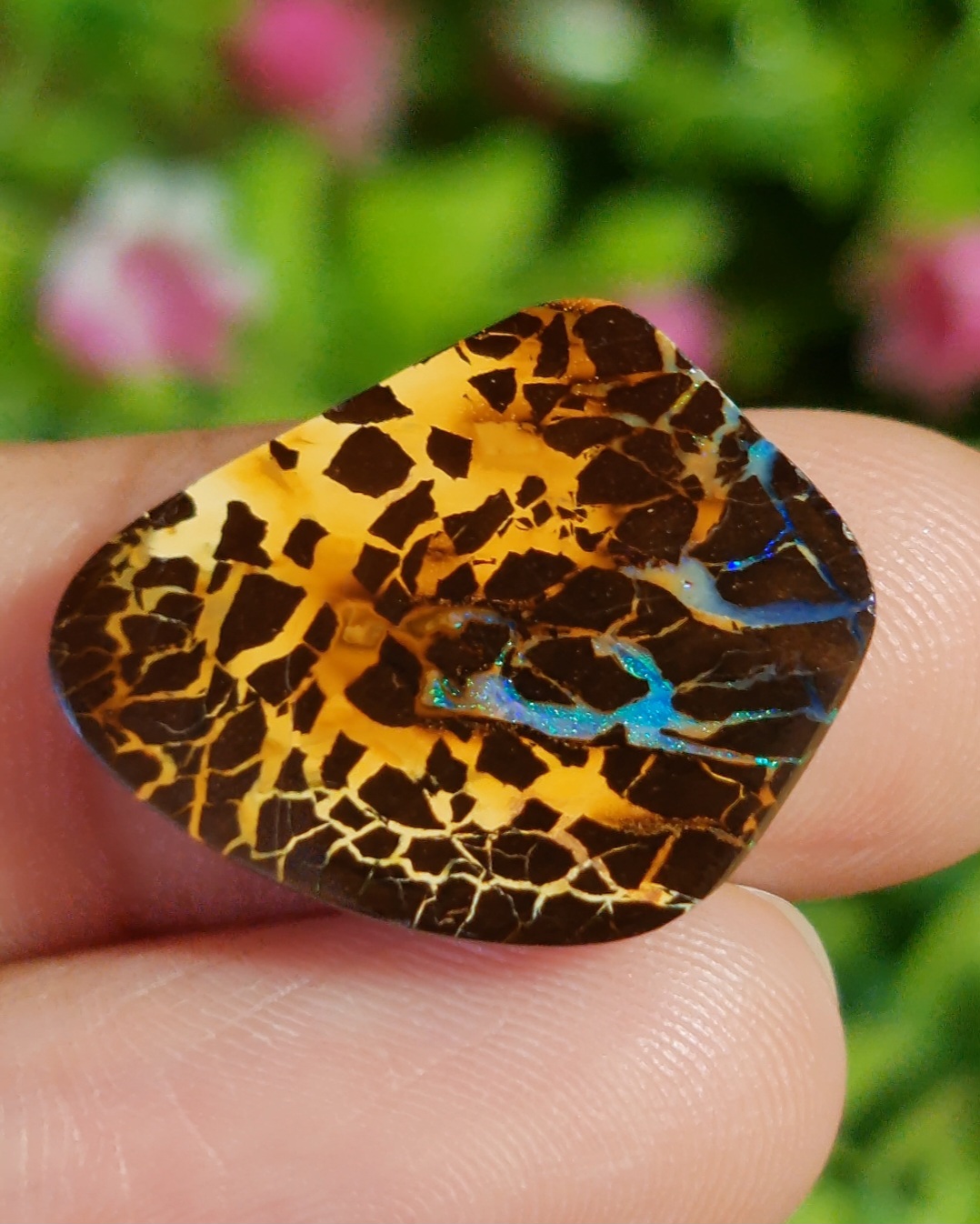 พลอย โบลเดอร์ โอปอล ออสเตรเลีย Australian Boulder Opal 15.10 กะรัต (Cts.) พลอยแท้ อัญมณีมงคลประจําวันเกิด เครื่องประดับพลอย
