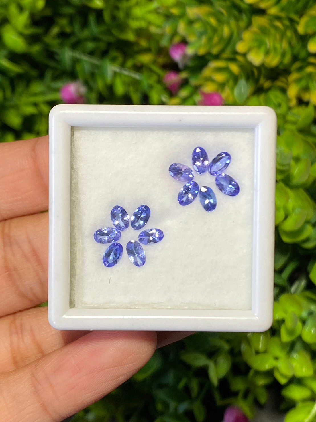 พลอย แทนซาไนท์ Tanzanite 2.78 กะรัต (Cts.) 12 เม็ด พลอยแท้ อัญมณีมงคลประจําวันเกิด เครื่องประดับพลอย