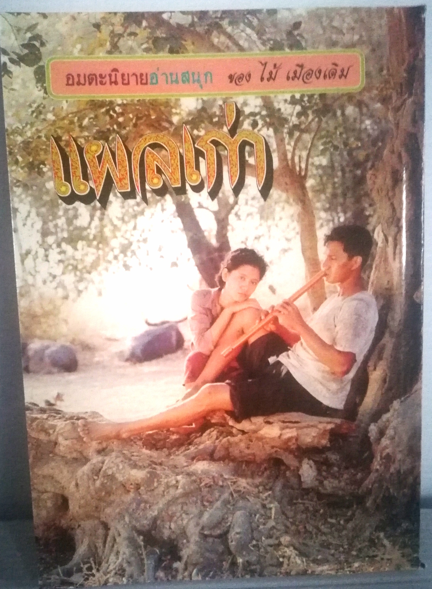 อมตะนิยายอ่านสนุก ของ ไม้ เมืองเดิม" แผลเก่า