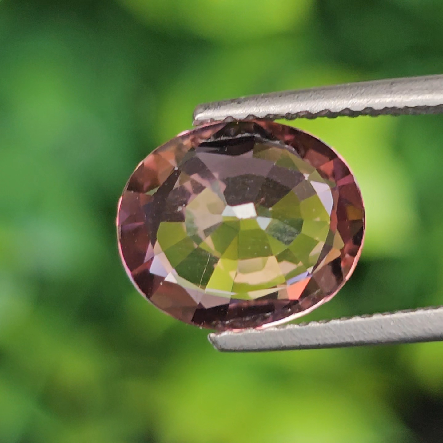 พลอย ทัวร์มารีน (Tourmaline) 2.68 กะรัต (Cts.) อัญมณีมงคลประจําวันเกิด เครื่องประดับพลอย