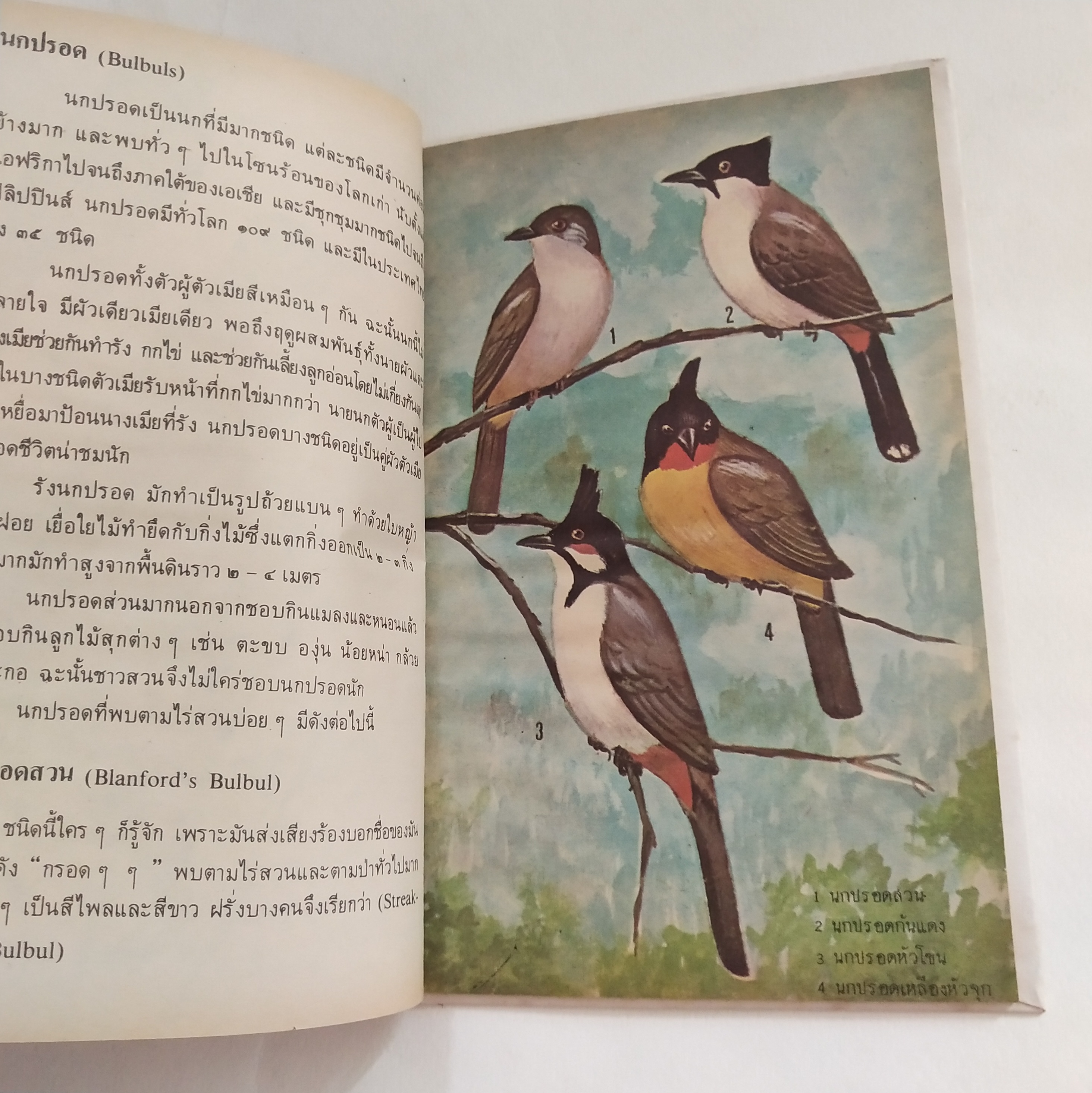 หนังสือเล่มเล็ก ชุดความรู้ไทย ขององค์การค้าของคุรุสภา นกสวน โดย นายแพทย์บุญส่ง เลขะกุล พิมพ์ครั้งที่ 2 2526ฤ