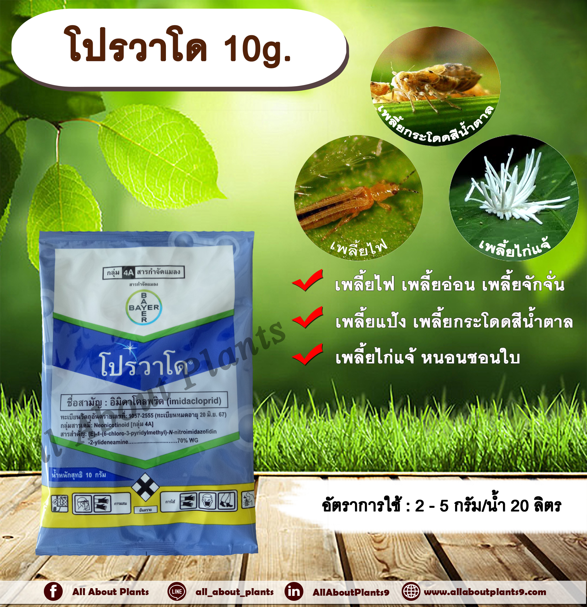 โปรวาโด 10g. อิมิดาโคลพริด สารกำจัดแมลง กำจัดเพลี้ยไฟ เพลี้ยอ่อน เพลี้ยแป้ง เพลี้ยกระโดด แมลงหวี่ขาว หนอนชอนใบ ดูดซึม allaboutplants ชิ้น