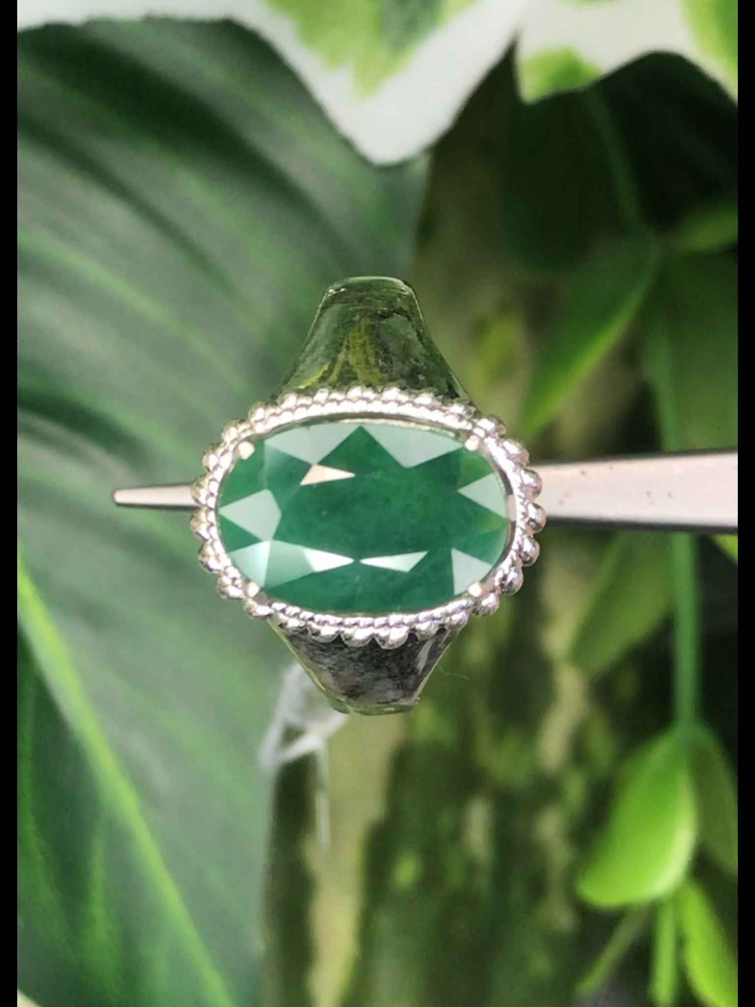 หยก พม่า แท้ Jade แหวนหยก 翡翠戒指 (Jadeite ring) ดิบ (Size) 56 ไม่ผ่านการปรับปรุง (Type A) พม่า (Myanmar)