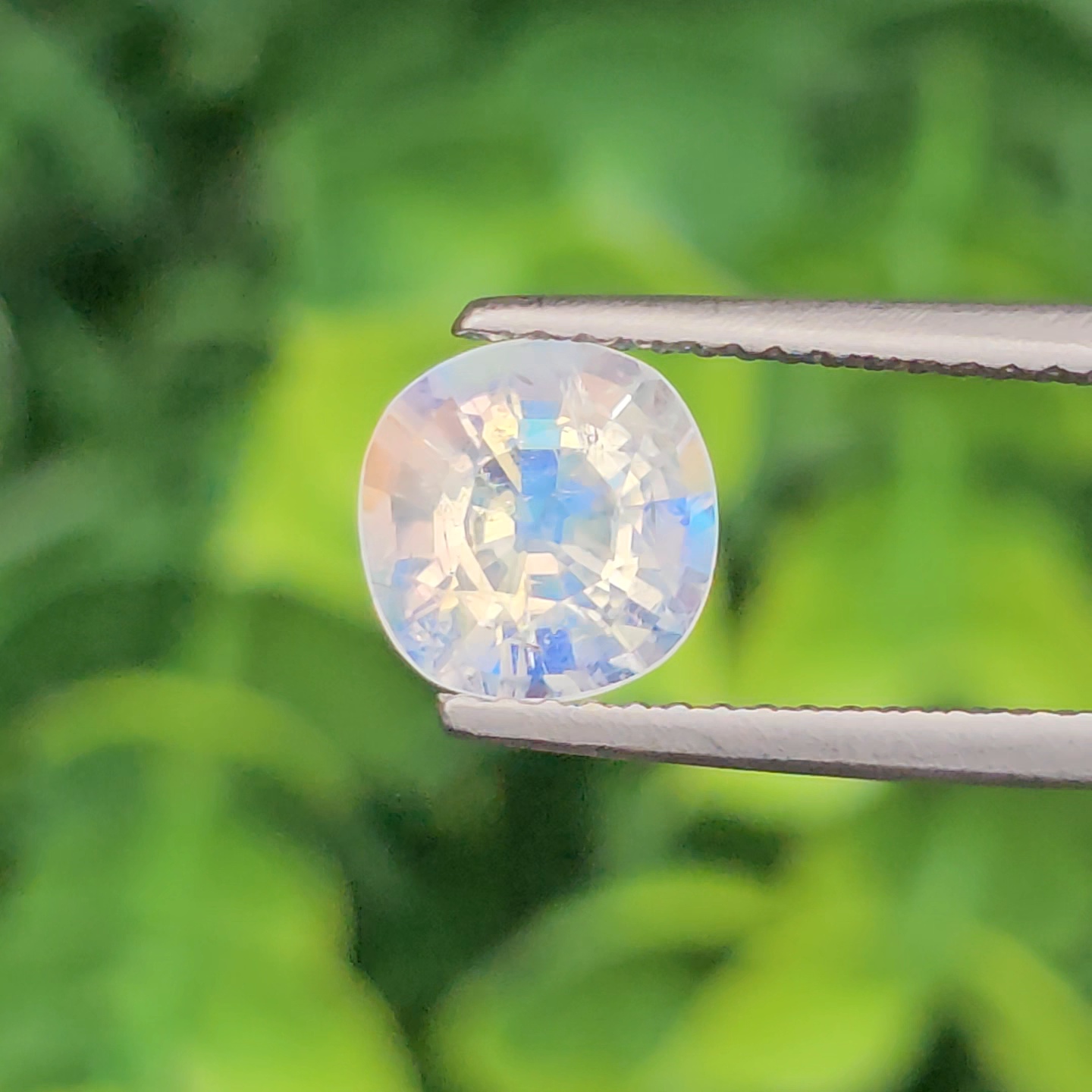 พลอย มูนสโตน เรนโบว์ rainbow moonstone 1.47 กะรัต (cts.) พลอยแท้ อัญมณีมงคลประจําวันเกิด เครื่องประดับพลอย