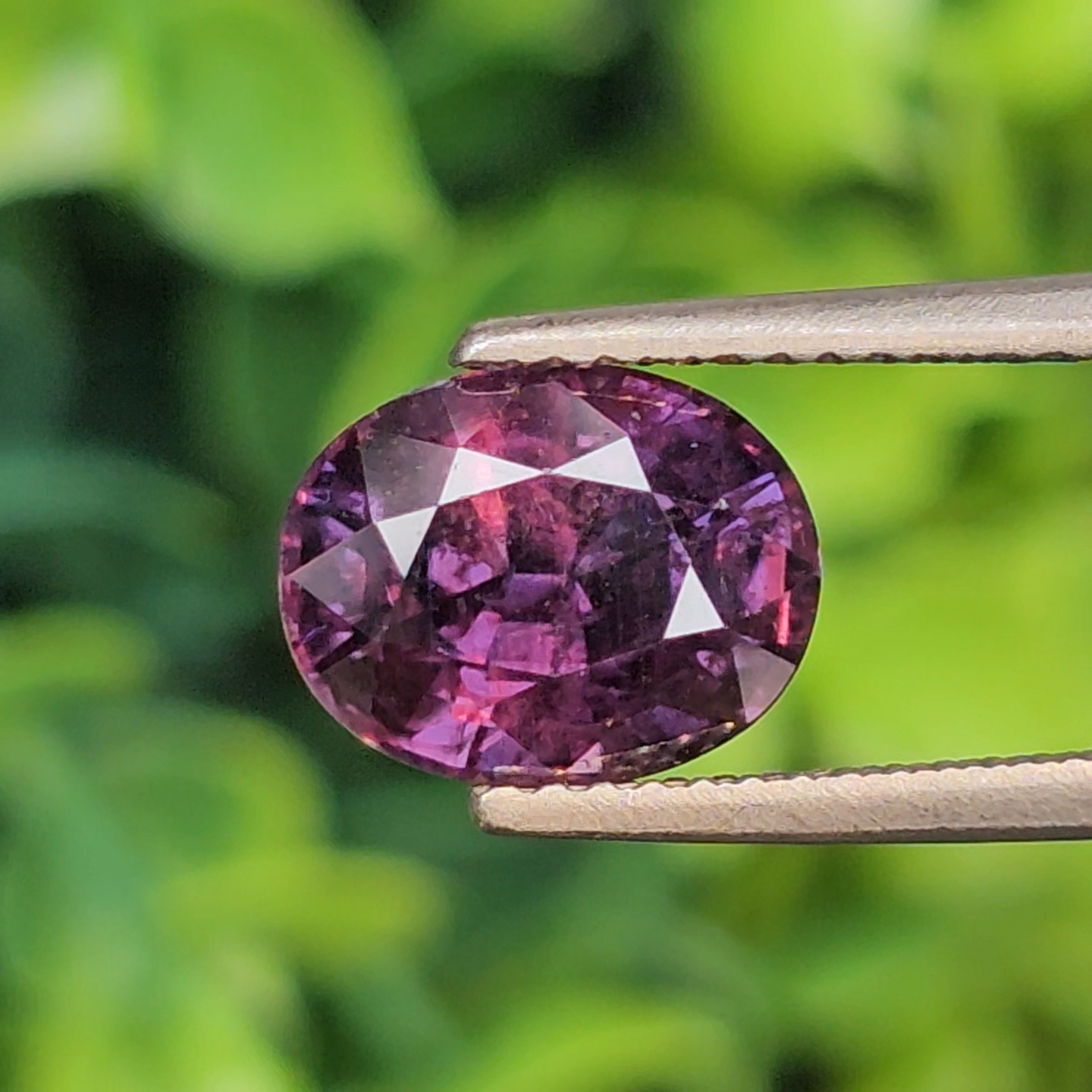 พลอย คัลเลอร์เชนจ์ แซฟไฟร์ Color Change Sapphire 3.40 กะรัต (Cts.) พลอยแท้ อัญมณีมงคลประจําวันเกิด เครื่องประดับพลอย