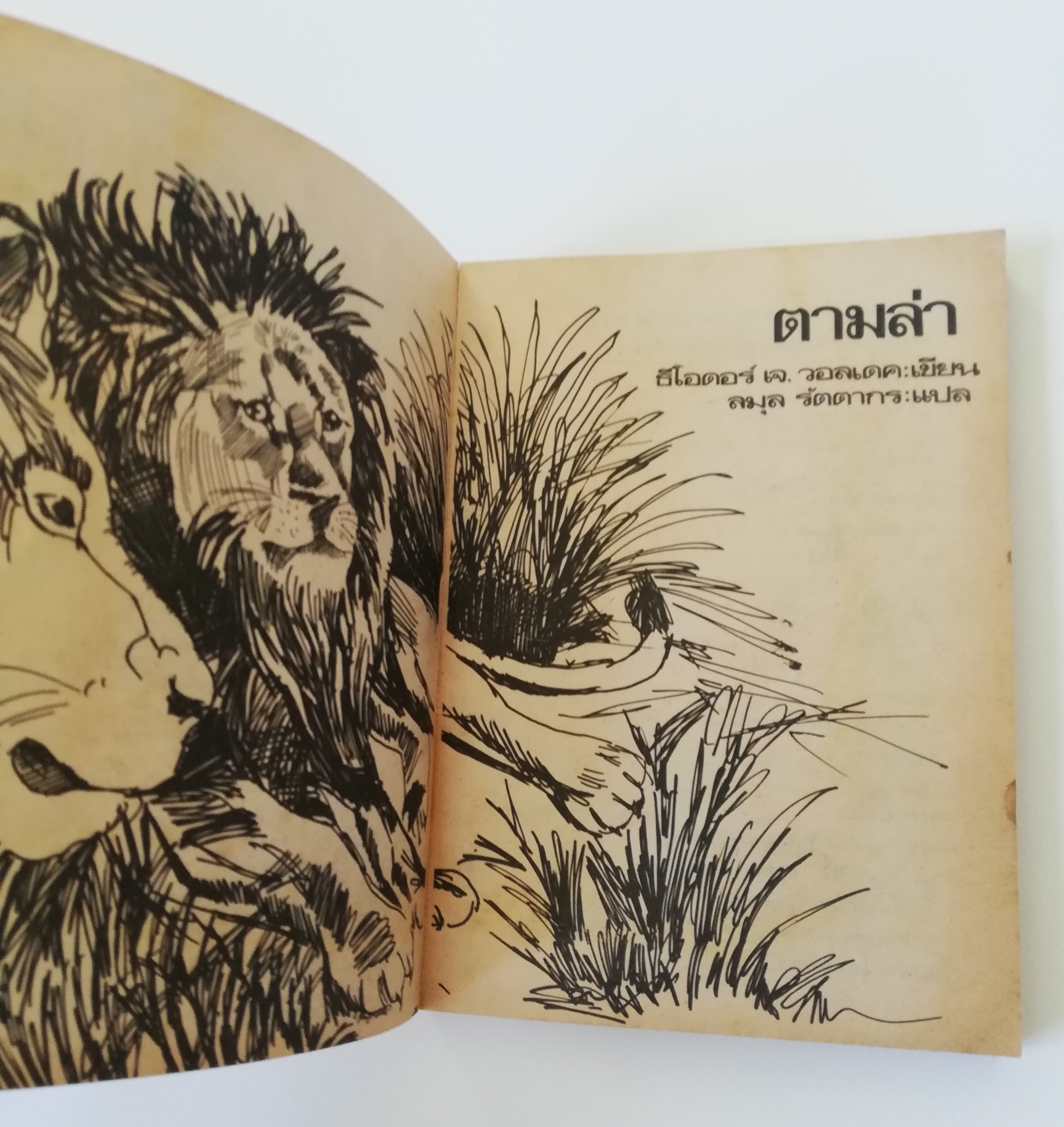 หนังสืออ่านนอกเวลาเก่า กระดาษออกสีเหลือง"ตามล่า" ชีวิตการผจญภัยของสิงห์หนุ่ม หนังสืออ่านสำหรับเยาวชน ชุดไพรกว้าง ปีที่พิมพ์ 2533