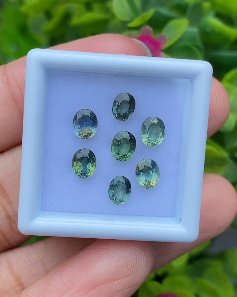 พลอย แซฟไฟร์ 3 สี Tri Color Sapphire 7 เม็ด 3.24 กะรัต (Cts.) พลอยแท้ อัญมณีมงคลประจําวันเกิด เครื่องประดับพลอย