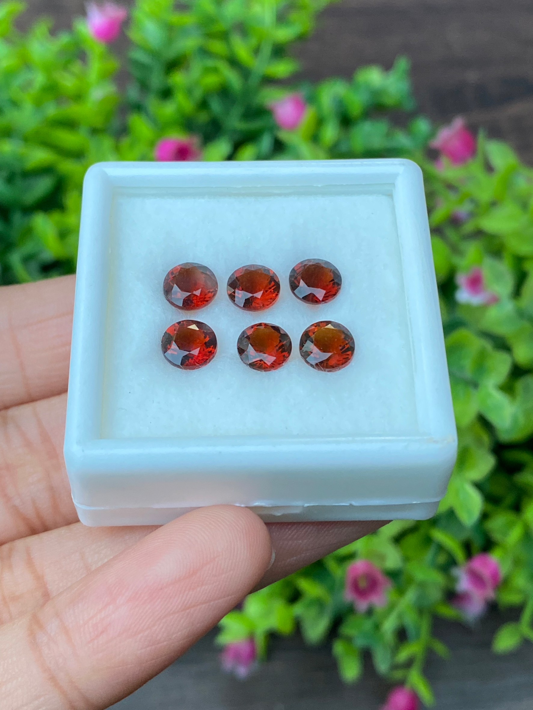 พลอย ซิทริน Citrine 4.87 กะรัต(Cts.) 6 เม็ด Pcs. พลอยแท้ อัญมณีมงคลประจําวันเกิด เครื่องประดับพลอย