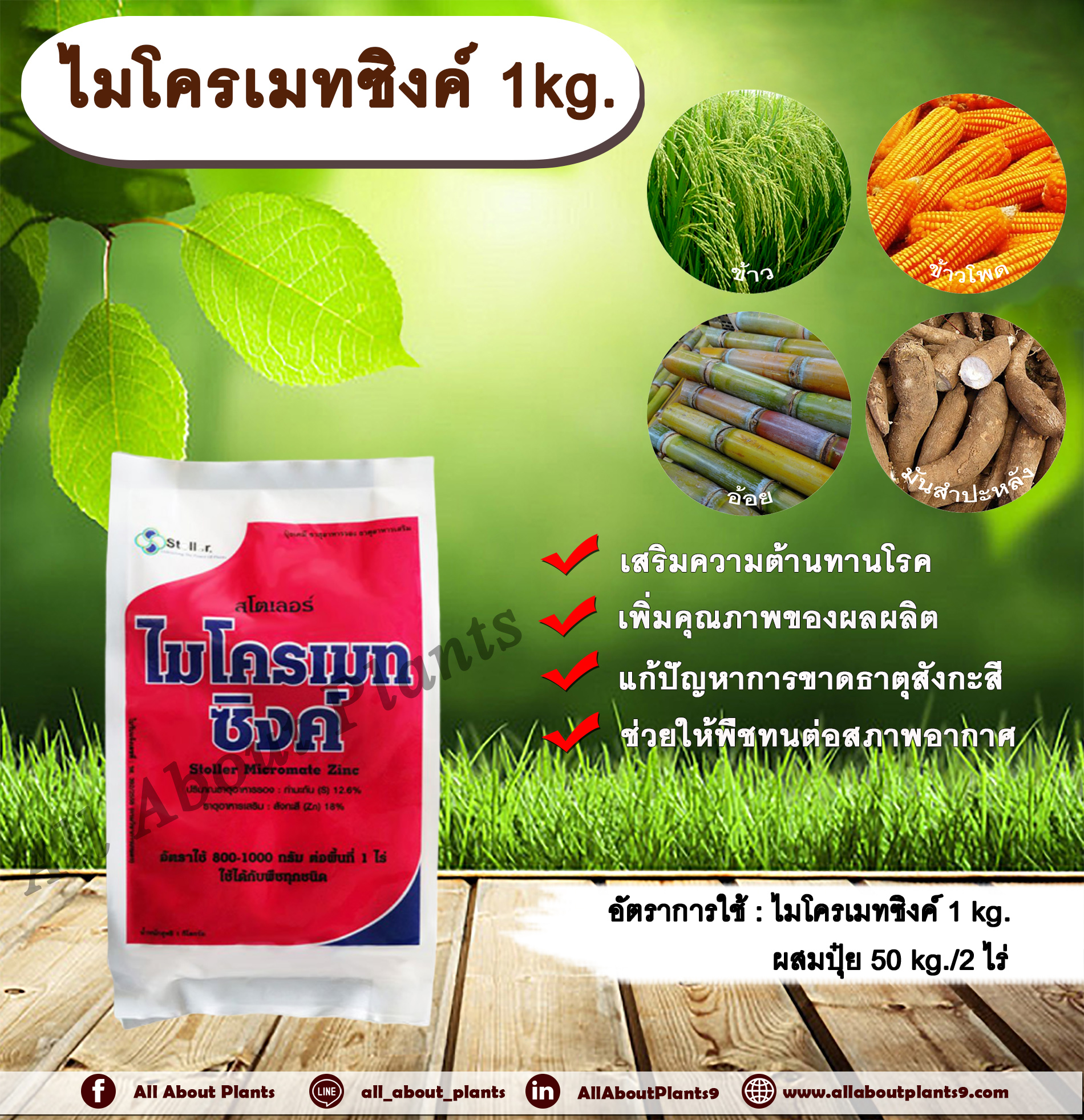 ไมโครเมท ซิงค์ 1kg. ธาตุสังกะสี แตกตาดอก แตกตายอด ขาดธาตุสังกะสี ปรับอากาศ ทนหนาว ทนร้อน ใช้หว่านทางดิน allaboutplants ชิ้น