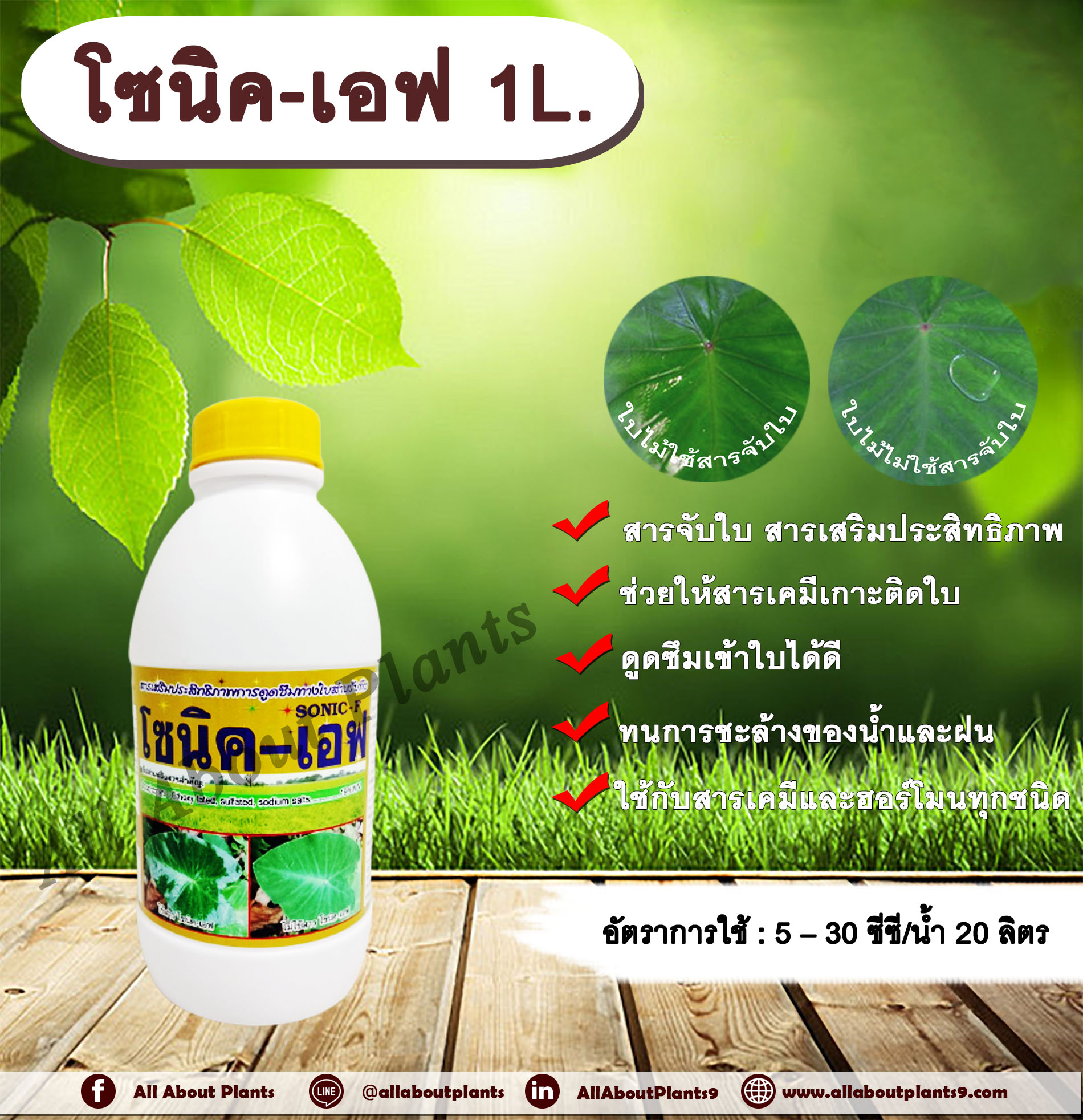 โซนิคเอฟ - โซนิค-80 1L. (คละแบบ) สารจับใบ สารเคลือบใบ สารเสริมประสิทธิภาพทางใบ สารเคมีเกาะติดใบพืช สารเคมีดูดซึมเข้าใบพืช allaboutplants ชิ้น