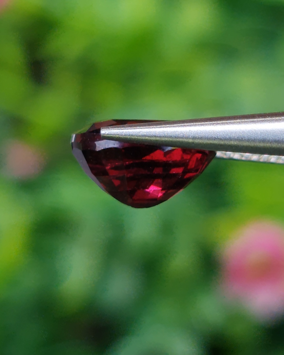 พลอย โรโดไลต์ กาเน็ท Rhodolite Garnet 3.04 กะรัต Cts.พลอยแท้ อัญมณีมงคลประจําวันเกิด เครื่องประดับพลอย
