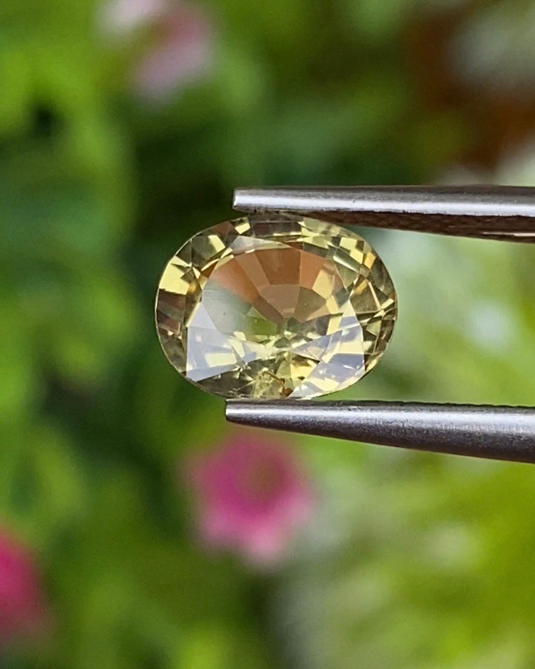 พลอย คริโซเบริล (Chrysoberyl) 1.68 กะรัต (Cts.) พลอยแท้ อัญมณีมงคลประจําวันเกิด เครื่องประดับพลอย