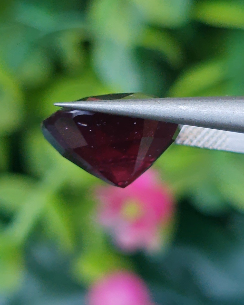 พลอย โรโดไลต์ กาเน็ท Rhodolite Garnet 7.52 กะรัต Cts.พลอยแท้ อัญมณีมงคลประจําวันเกิด เครื่องประดับพลอย