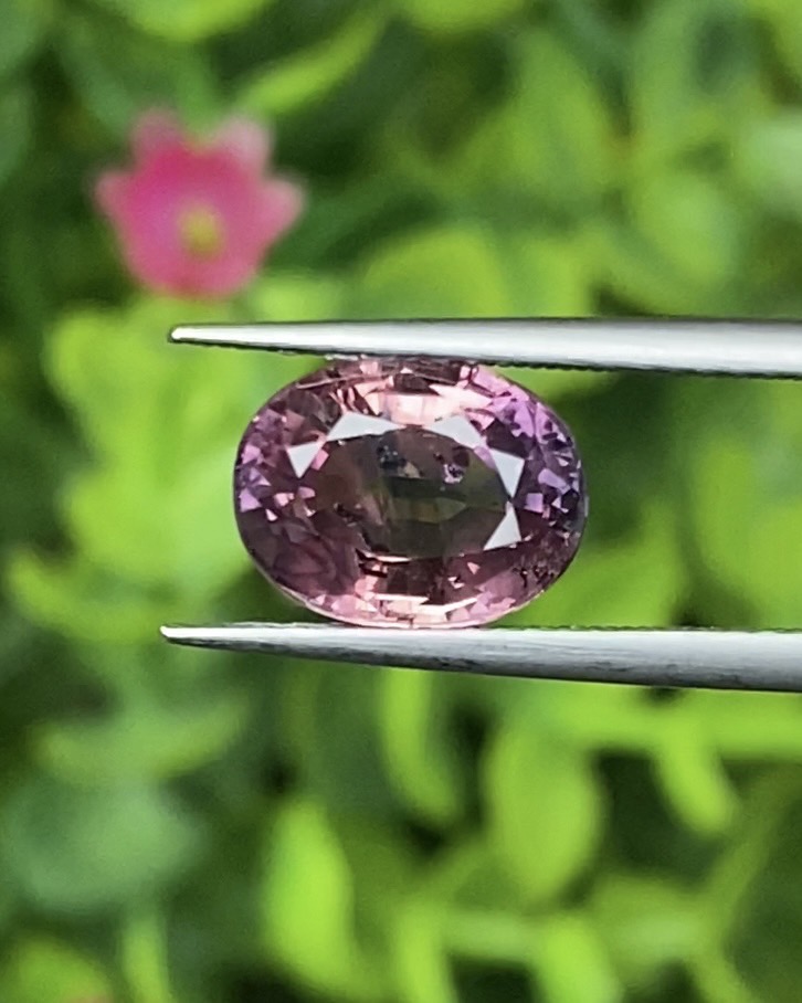 พลอย ชมพู ส้ม Orangy Pink Sapphire 3.54 กะรัต (Cts.) พร้อมใบเซอร์ พลอยแท้ อัญมณีมงคลประจําวันเกิด เครื่องประดับพลอย
