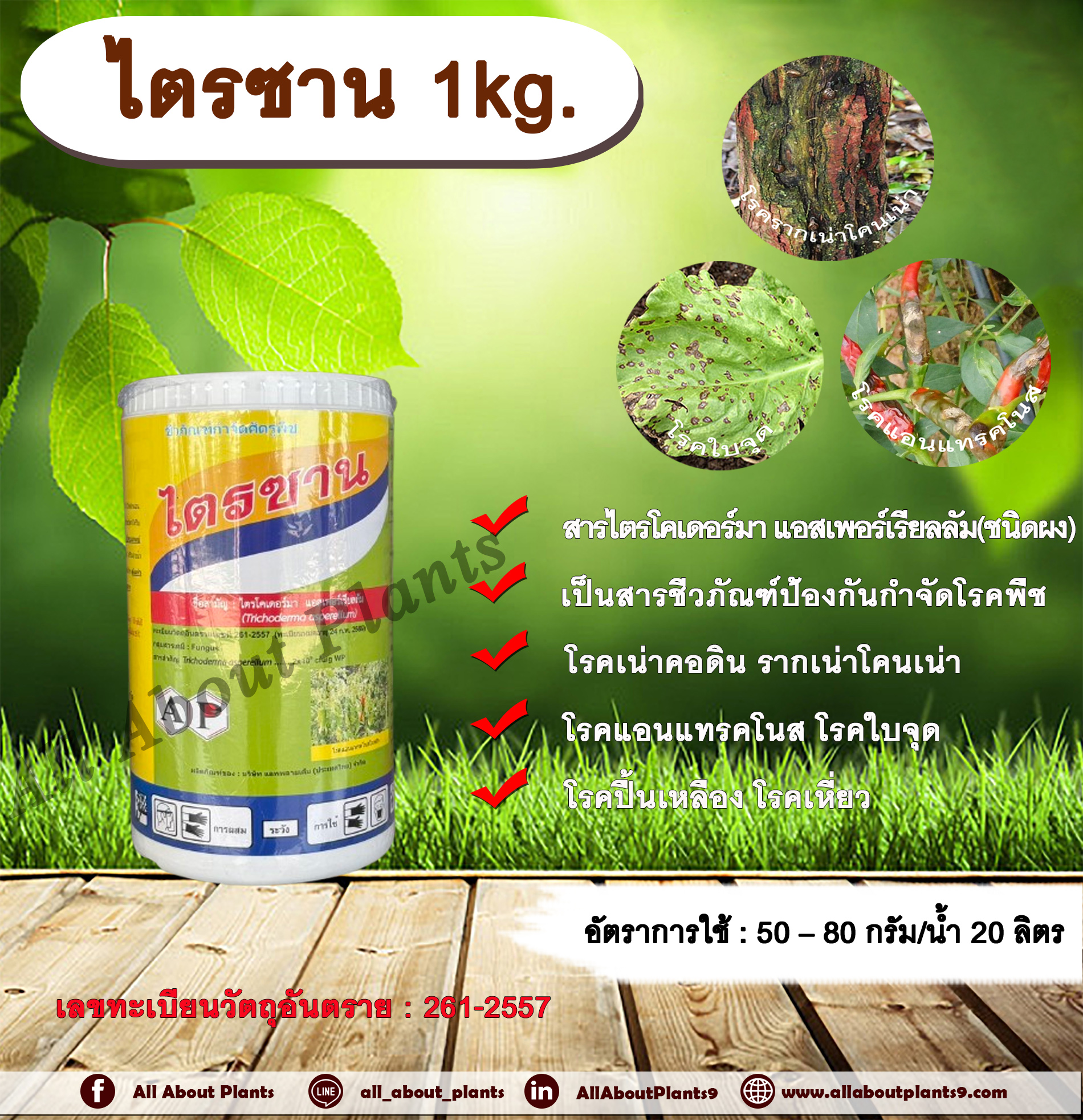 ไตรซาน 1kg. เชื้อราไตรโคเดอร์มา เอสเพอร์เรียลลัม สารกำจัดเชื้อรา โรครากเน่าโคนเน่า โรคเน่าคอดิน โรคแอนแทรคโนส โรคกุ้งแห้งพริก โรคใบจุด โรคปื้นเหลือง โรคเหี่ยว สารชีวภัณฑ์ เกษตรอินทรีย์ ปลอดสารพิษ กำจัดโรคพืช allaboutplants ชิ้น