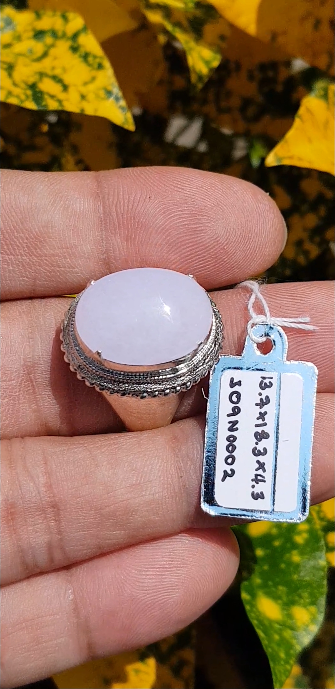 หยก พม่า แท้ Jade แหวนหยก 翡翠戒指 (Jadeite ring) 8.73 กะรัต (Cts.) Size 61 ดิบ ไม่ผ่านการปรับปรุง (Type A) พม่า (Myanmar)