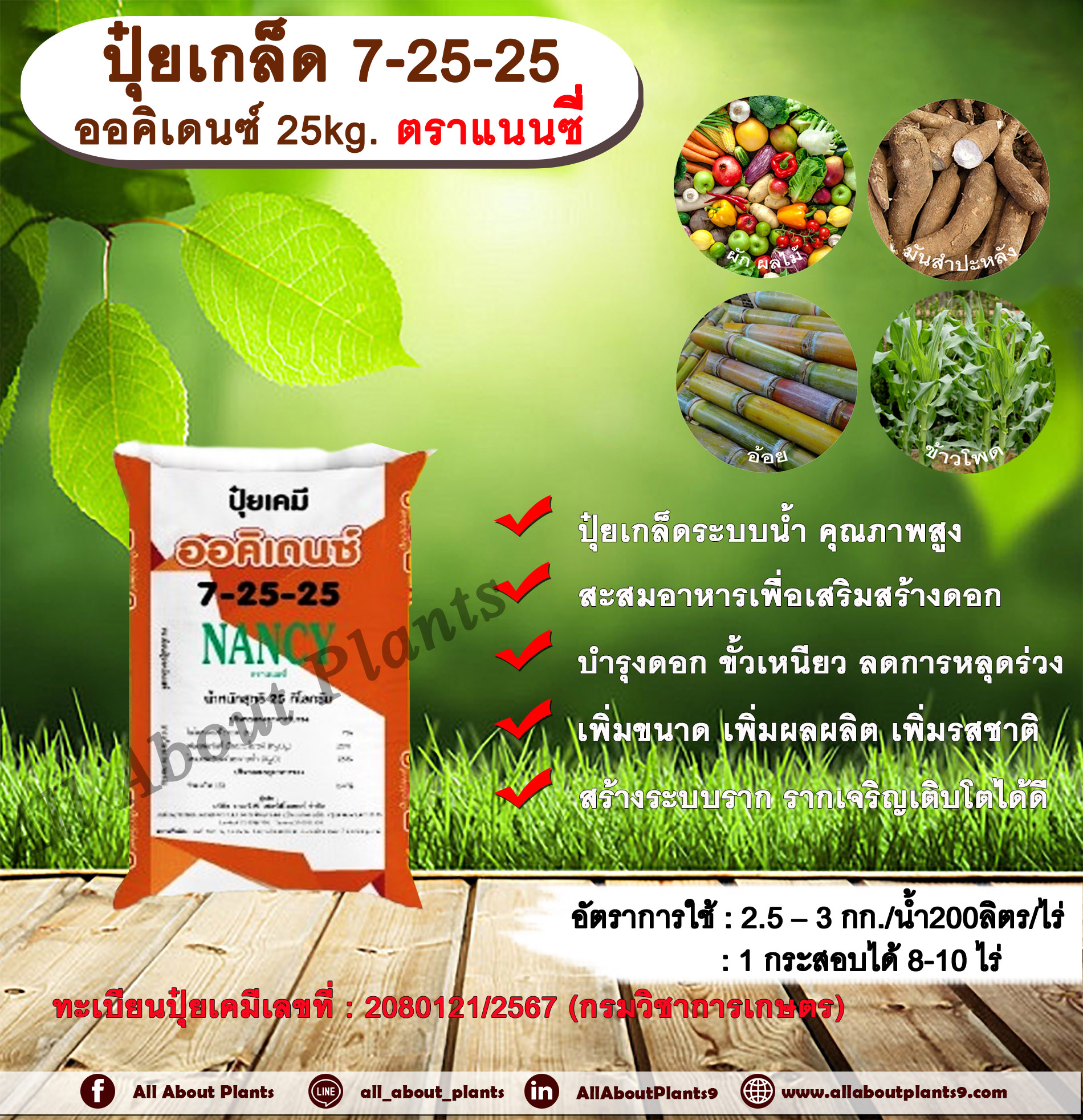 ปุ๋ยเกล็ด 7-25-25 ออคิเดนซ์ 25kg. ตราแนนซี่ ปุ๋ยระบบน้ำ ปุ๋ยเกล็ดระบบน้ำคุณภาพสูง สูตรเร่งสะสมอาหาร สะสมอาหารเพื่อเสริมสร้างดอก บำรุงดอก ขั้วเหนียว ลดการหลุดร่วง เพิ่มขนาด เพิ่มผลผลิต เพิ่มรสชาติ สร้างระบบราก รากเจริญเติบโตได้ดี กระสอบ