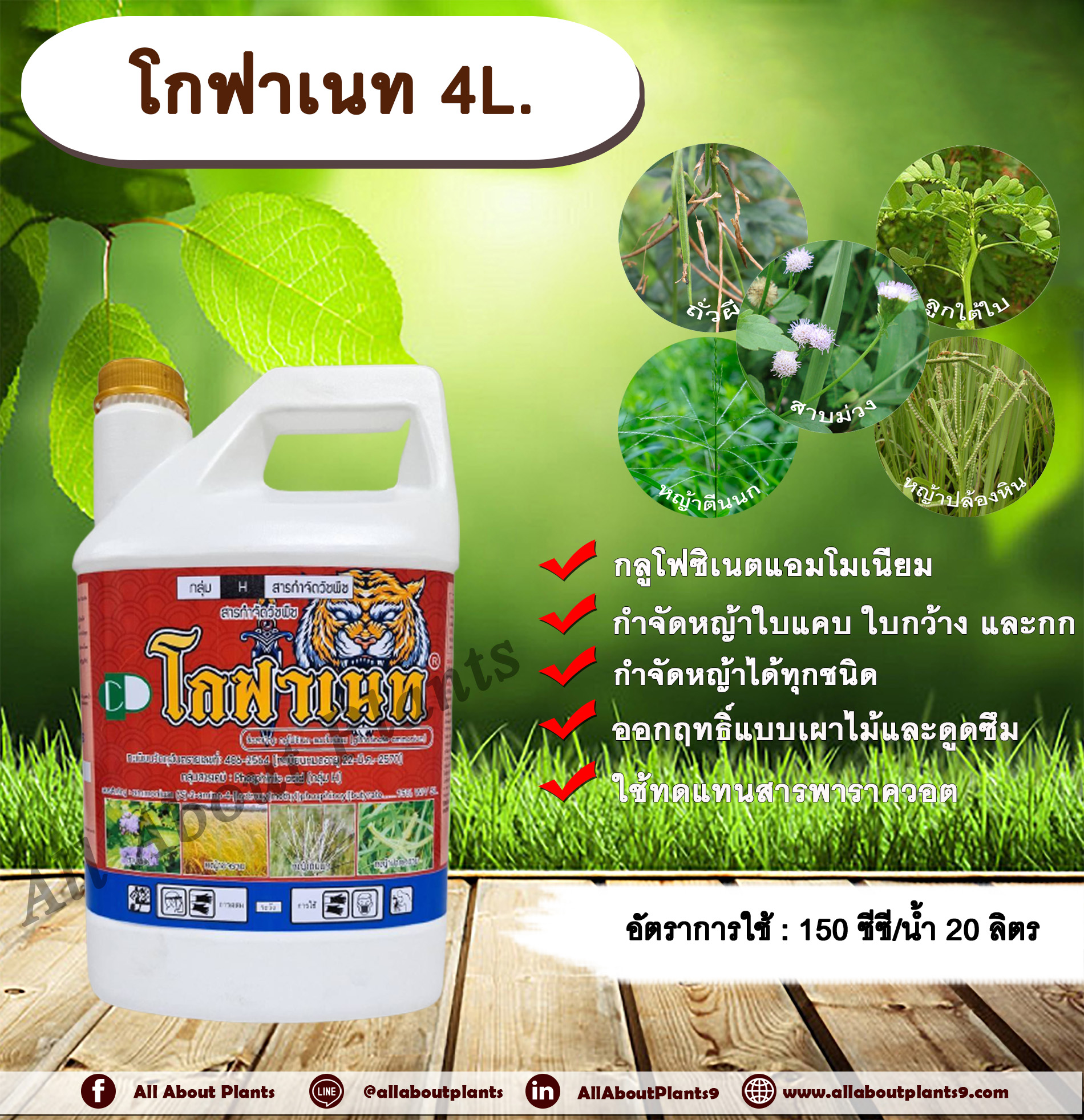โกฟาเนท 4L. กลูโฟซิเนตแอมโมเนียม สารกำจัดวัชพืช กำจัดหญ้าใบแคบ ใบกว้าง กก หญ้าทุกชนิด allaboutplants ชิ้น