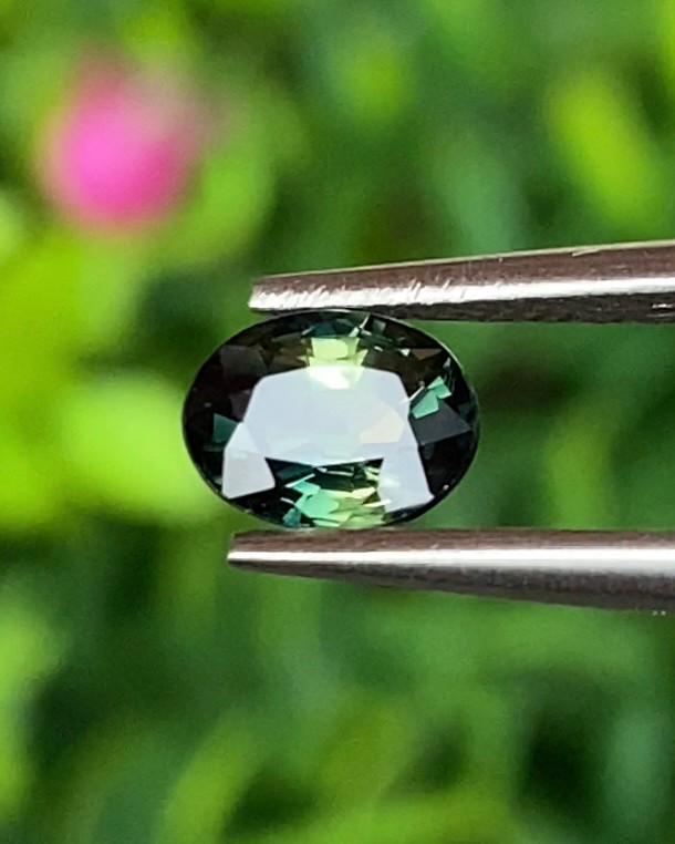 พลอย แซฟไฟร์ 3 สี Tri Color Sapphire 0.85 กะรัต Cts. พลอยแท้ อัญมณีมงคลประจําวันเกิด เครื่องประดับพลอย