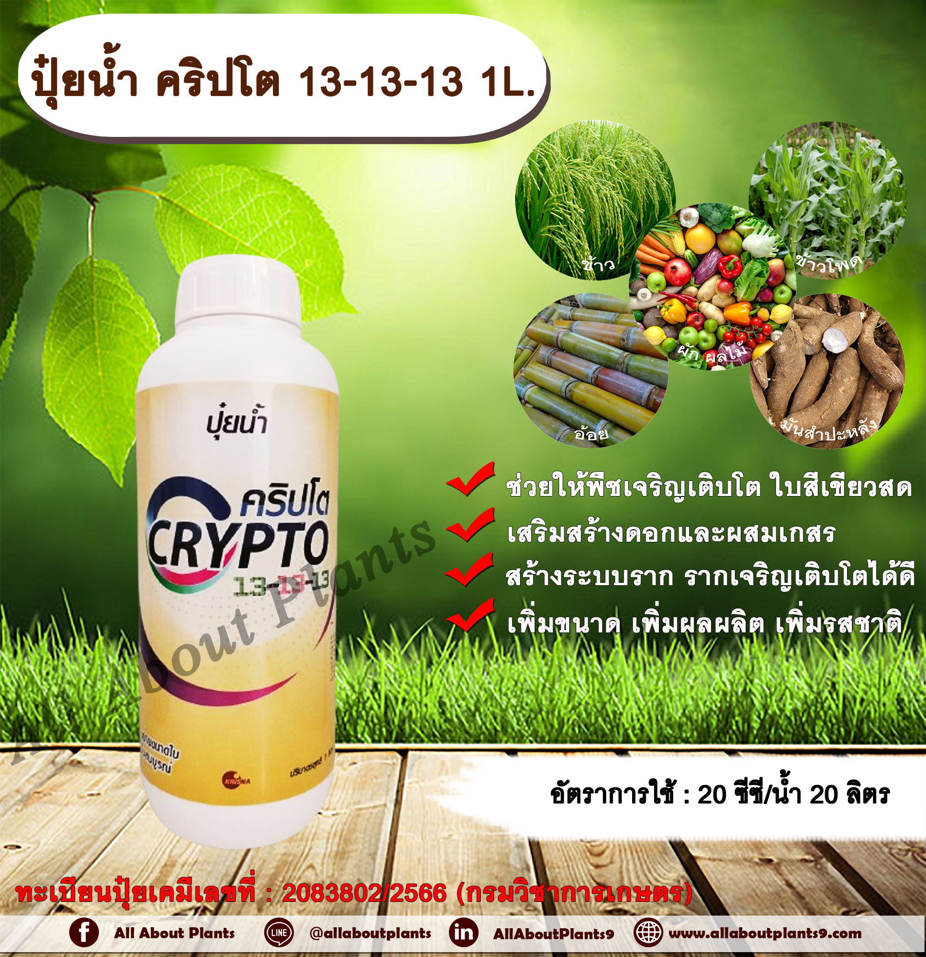 คริปโต 13-13-13 1L. ช่วยให้พืชเจริญเติบโต ใบสีเขียวสด เสริมสร้างดอก ผสมเกสร สร้างระบบราก รากเจริญเติบโต เพิ่มขนาด เพิ่มผลผลิต เพิ่มรสชาติ ทุกช่วงการเจริญเติบโตของพืช ปุ๋ยน้ำ ฮอร์โมนพืช ปุ๋ยNPK ปุ๋ยน้ำNPK กระติก
