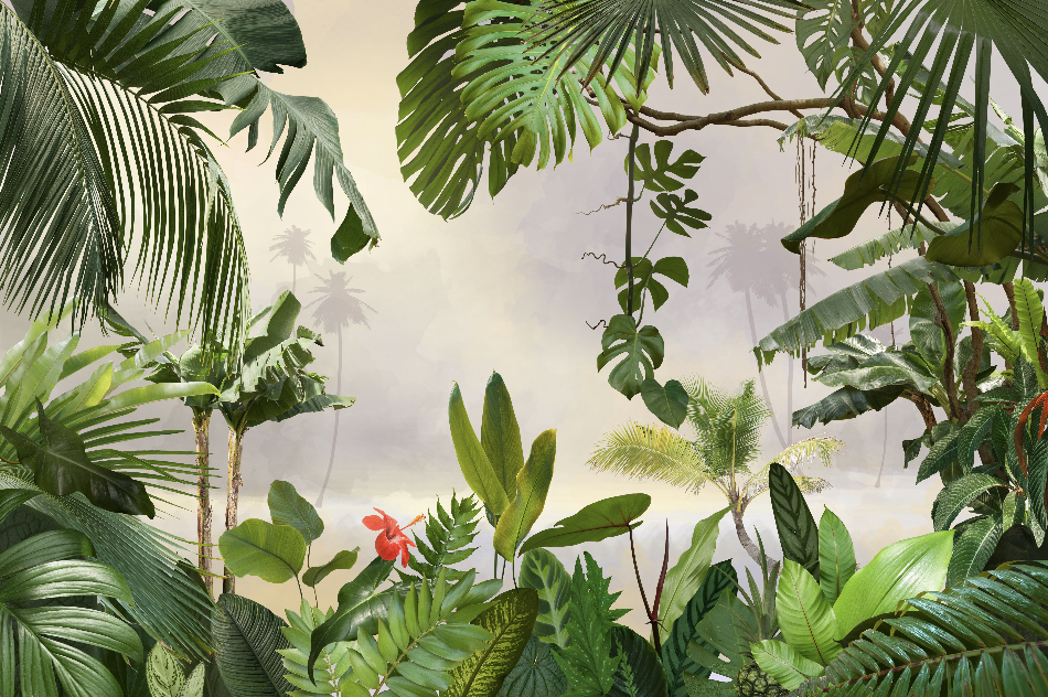 Wallpaper Digital Printing TR24075