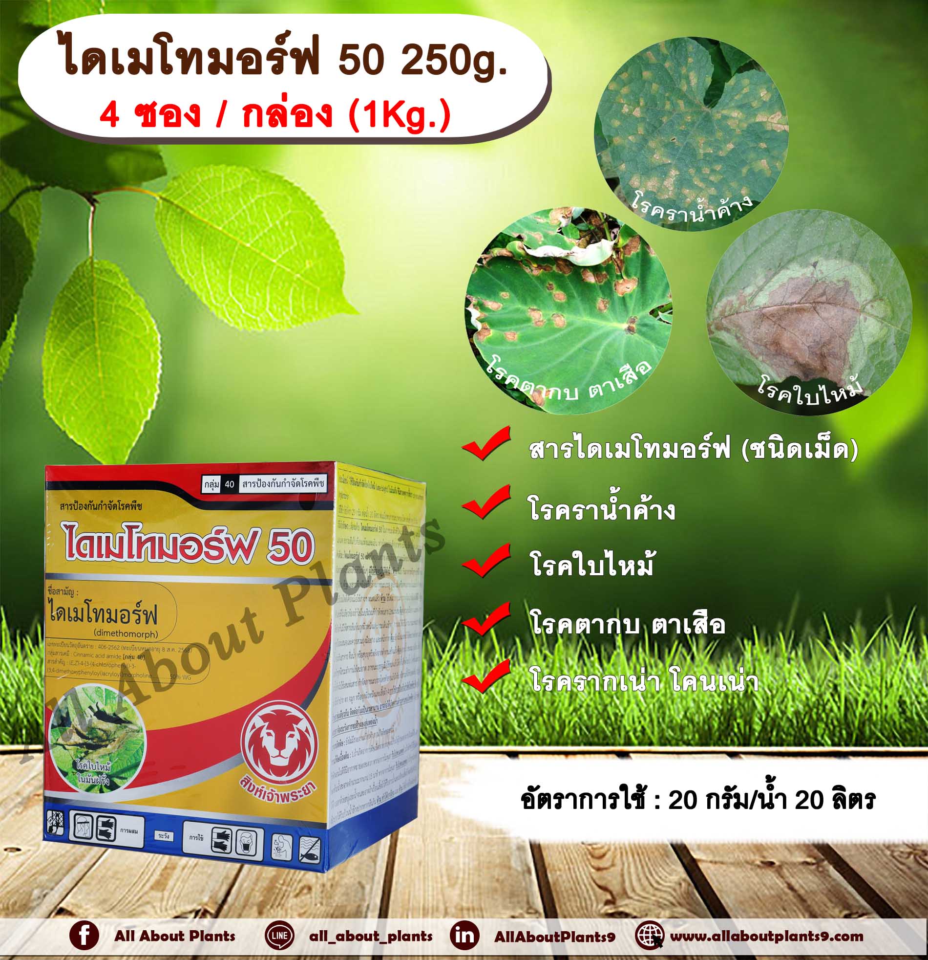 ไดเมโทมอร์ฟ 50 4 ซอง 1 กล่อง (1kg.) ไดเมโทมอร์ฟ สารกำจัดกำจัดเชื้อรา สารกำจัดโรคพืช โรคราน้ำค้าง โรคใบไหม้ โรครากเน่าโคนเน่า โรคตากบตาเสือ ชิ้น