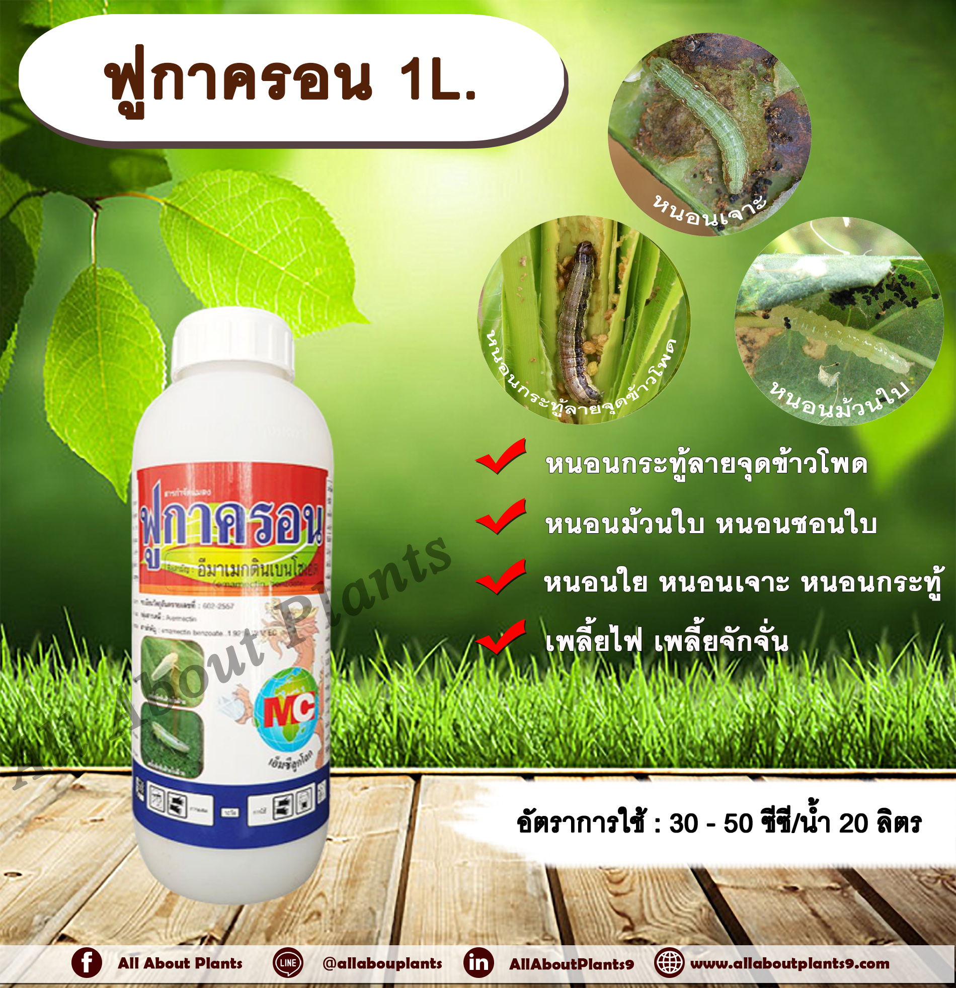 ฟูกาครอน 1L. อีมาเมกตินเบนโซเอต สารกำจัดแมลง สารกำจัดหนอน หนอนกระทู้ลายจุดข้าวโพด หนอนม้วนใบ หนอนชอนใบ หนอนเจาะ หนอนใย หนอนกระทู้ allaboutplants ชิ้น