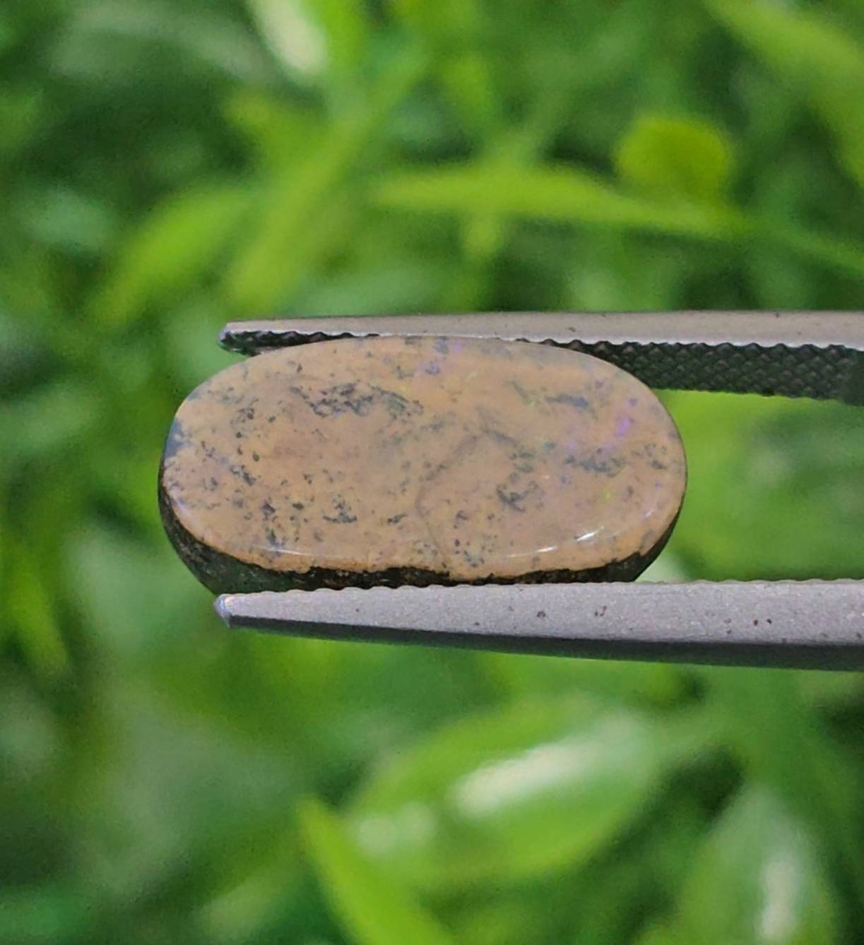 พลอย โบลเดอร์ โอปอล ออสเตรเลีย Australian Boulder Opal 7.18 กะรัต (Cts.) พลอยแท้ อัญมณีมงคลประจําวันเกิด เครื่องประดับพลอย