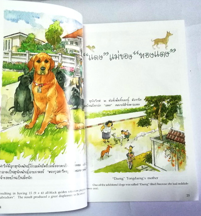 หนังสือเก่า ****มีตำหนิ หน้าสุดท้ายติดปกหลัง พระราชนิพนธ์ พระบาทสมเด็จพระเจ้าอยู่หัวภูมิพลอดุลยเดช His Majesty King Bhumibol Adulyadej Biography of a Pet Dog เรื่อง ทองแดง ฉบับการ์ตูน พิมพ์ซ้ำครั้งที่ 2 พฤศจิกายน 2547 ผู้เขียนการ์ตูนประกอบพระราชนิพนธ์ : ช