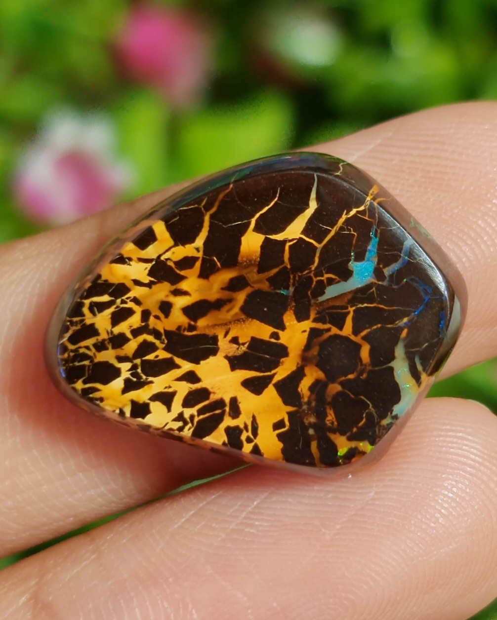 พลอย โบลเดอร์ โอปอล ออสเตรเลีย Australian Boulder Opal 15.10 กะรัต (Cts.) พลอยแท้ อัญมณีมงคลประจําวันเกิด เครื่องประดับพลอย