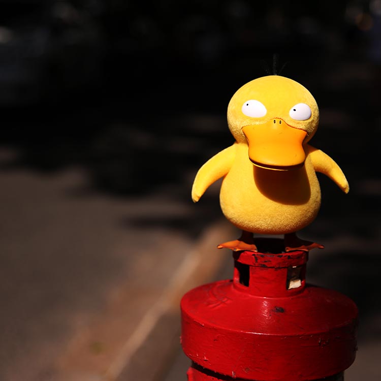 (PRE-ORDER) ตุ๊กตา โกดัก kodak Pokemon