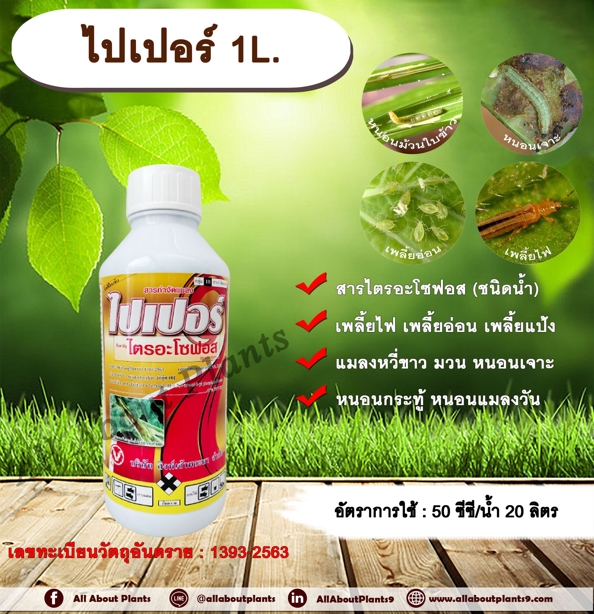 ไปเปอร์ 1L. ไตรอะโซฟอส สารกำจัดแมลง กำจัดเพลี้ย กำจัดหนอน เพลี้ยไฟ เพลี้ยอ่อน เพลี้ยแป้ง แมลงหวี่ขาว มวน หนอนเจาะ หนอนกระทู้ หนอนแมลงวัน ชิ้น