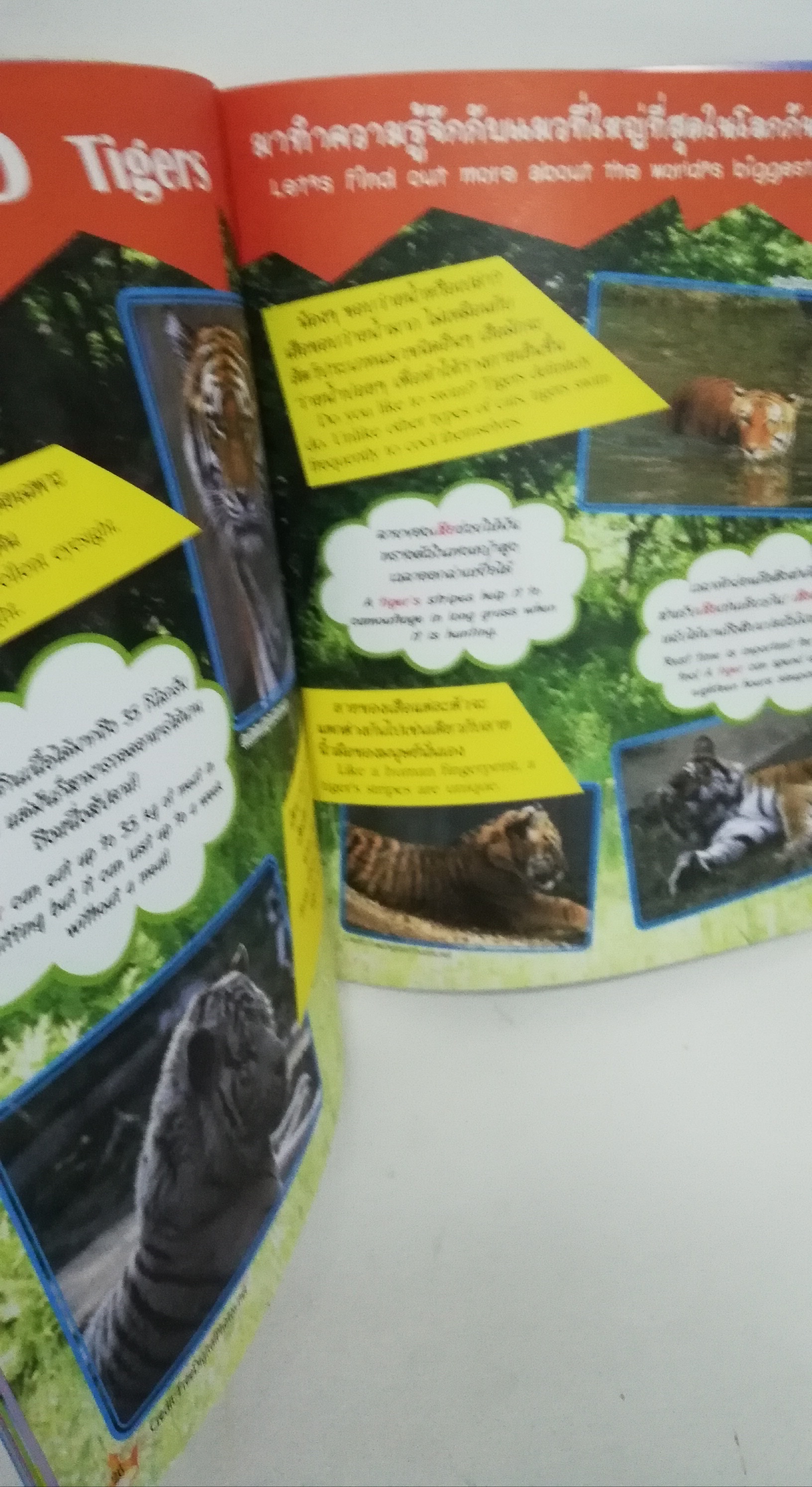 มีหลายภาพ, หนังสือนิทานเจ้าหญิงแสนสวย2ภาษา พร้อมเกมส์ และโปสเตอร์ซินเดอเรลล่า เจ้าหญิงดิสนีย์ Disney Princess Vol59 ปก ซินเดอเรลล่า กับเจ้าชาย