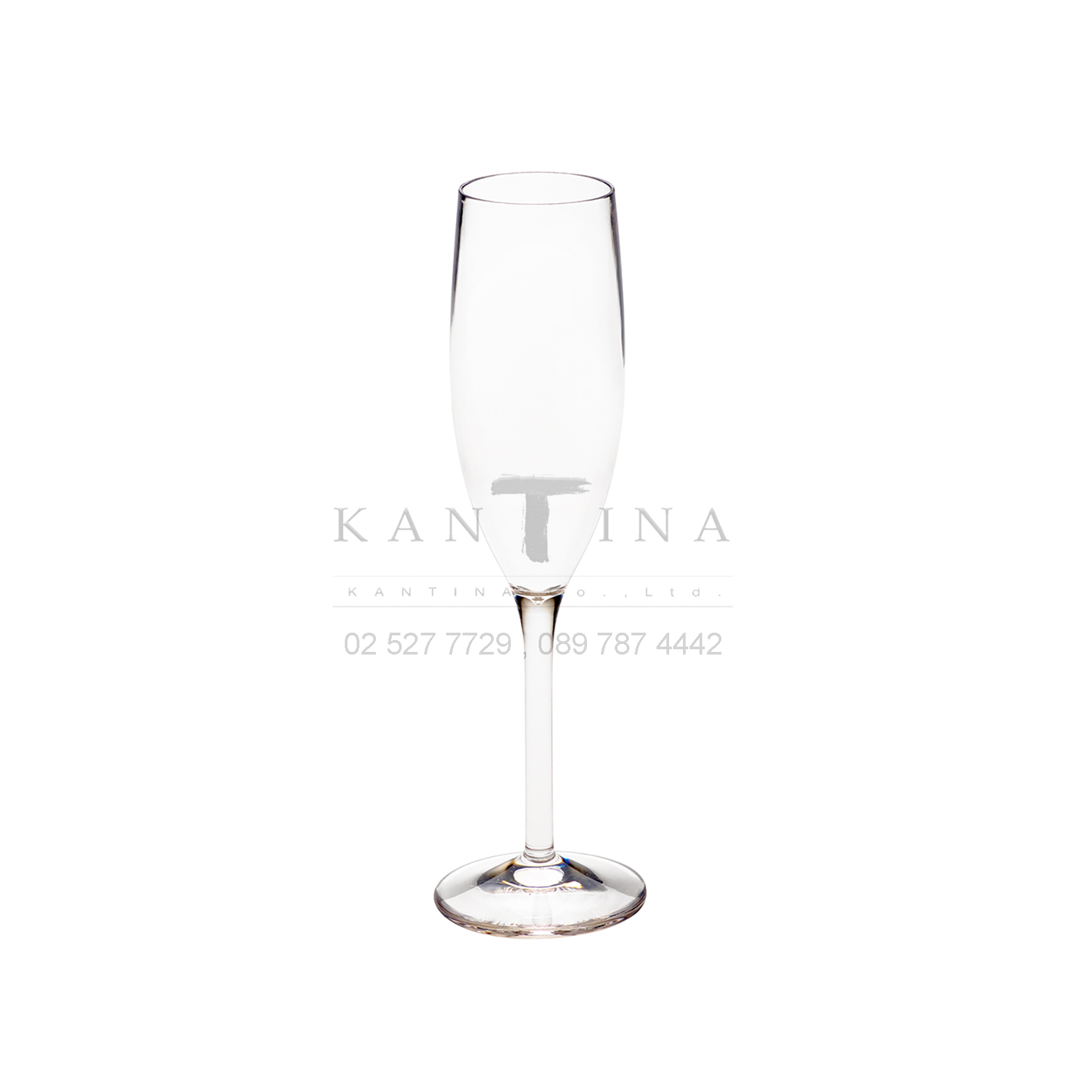 แก้วโพลีคาร์บอเนต แก้วสระน้ำ - CHAMPAGNE_A (8978)